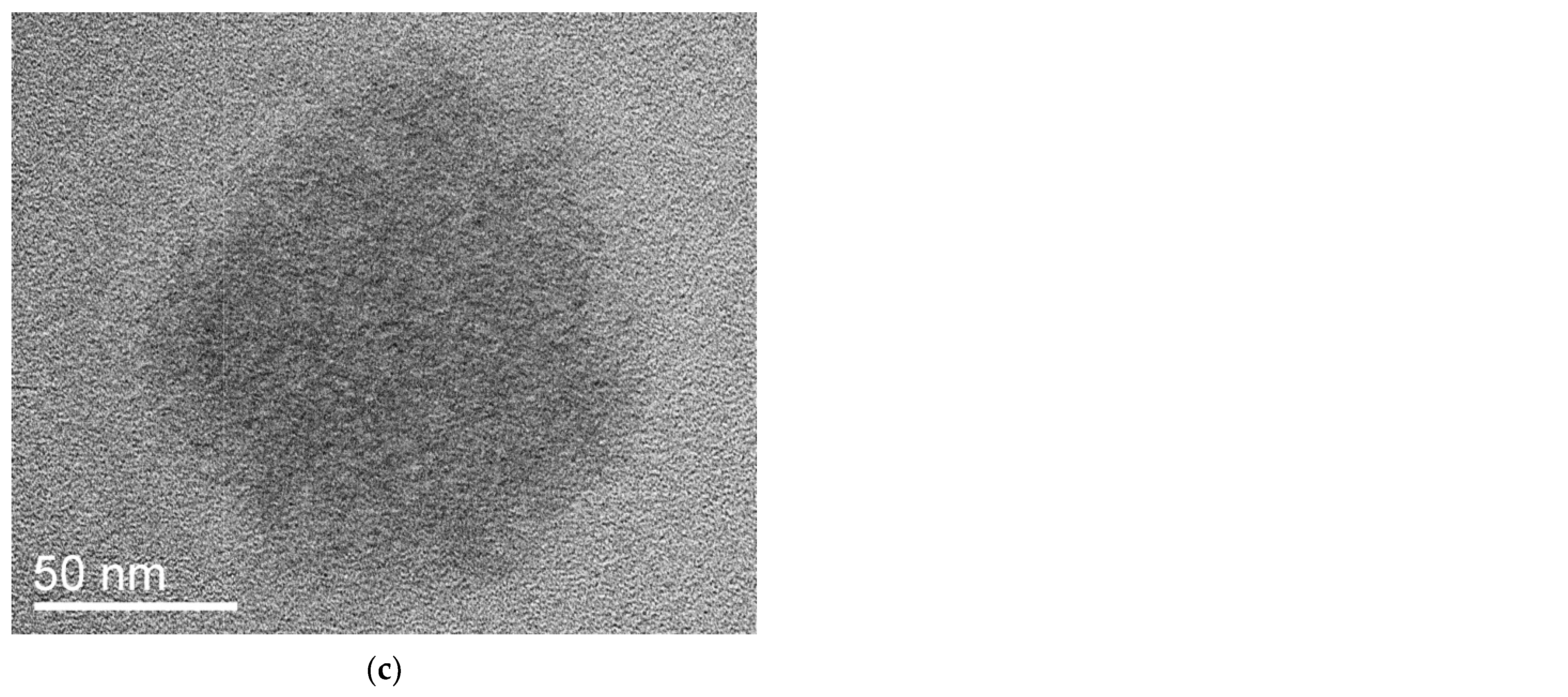 Pharmaceutics 15 01388 g010b Pharmaceutics 15 01388 g010b