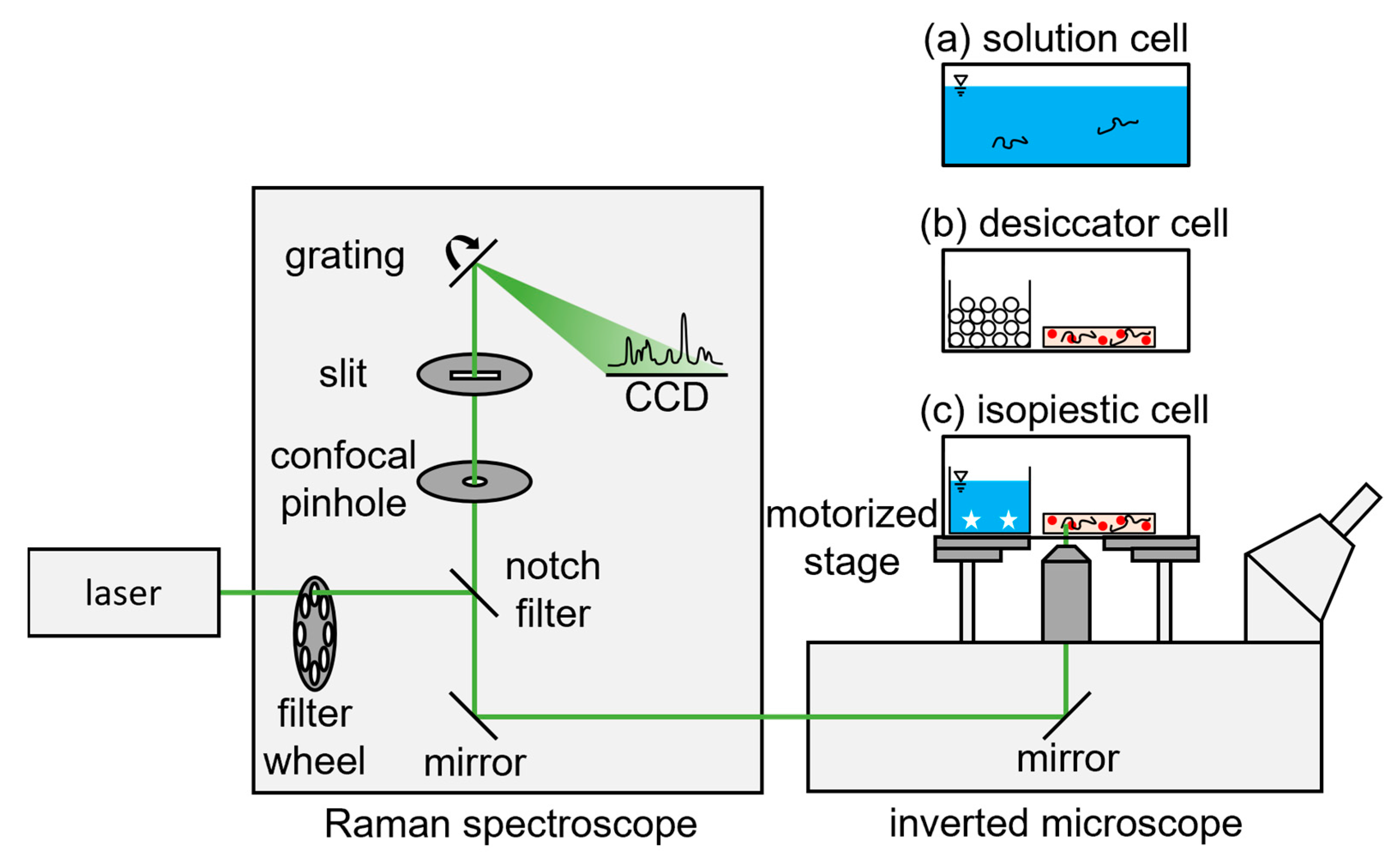 Pharmaceutics 15 01395 g001