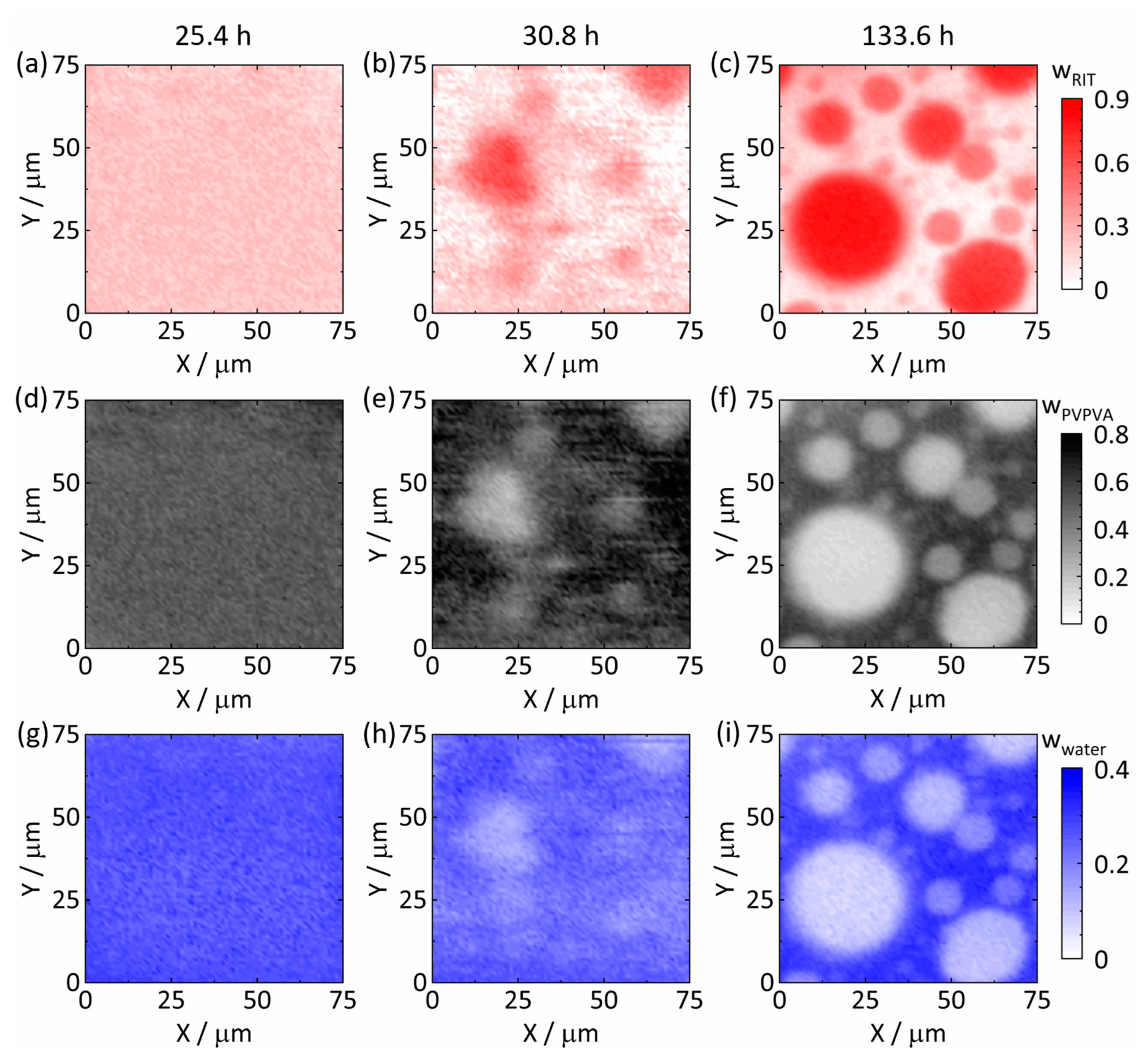 Pharmaceutics 15 01395 g005