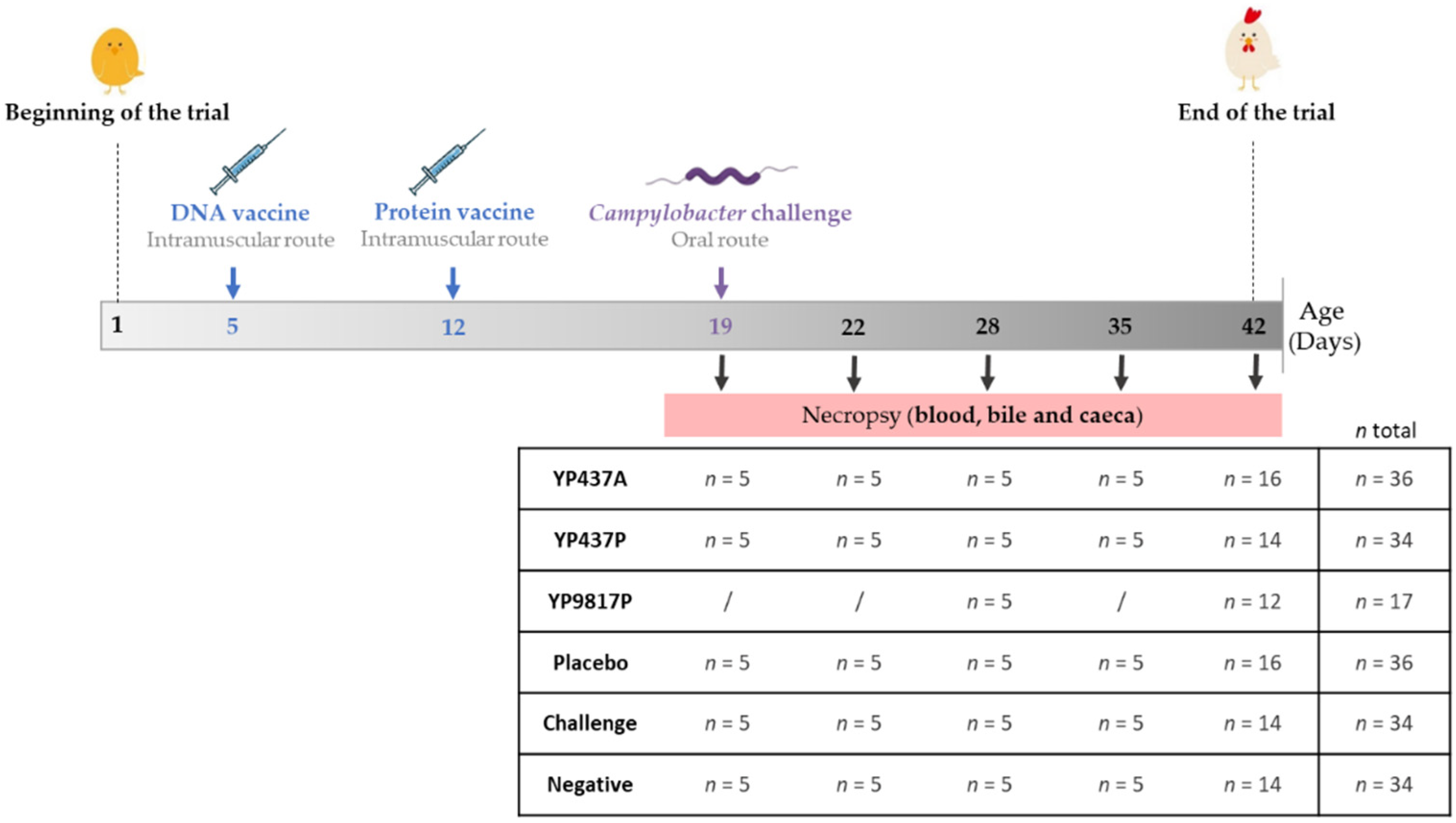 Pharmaceutics 15 01397 g001