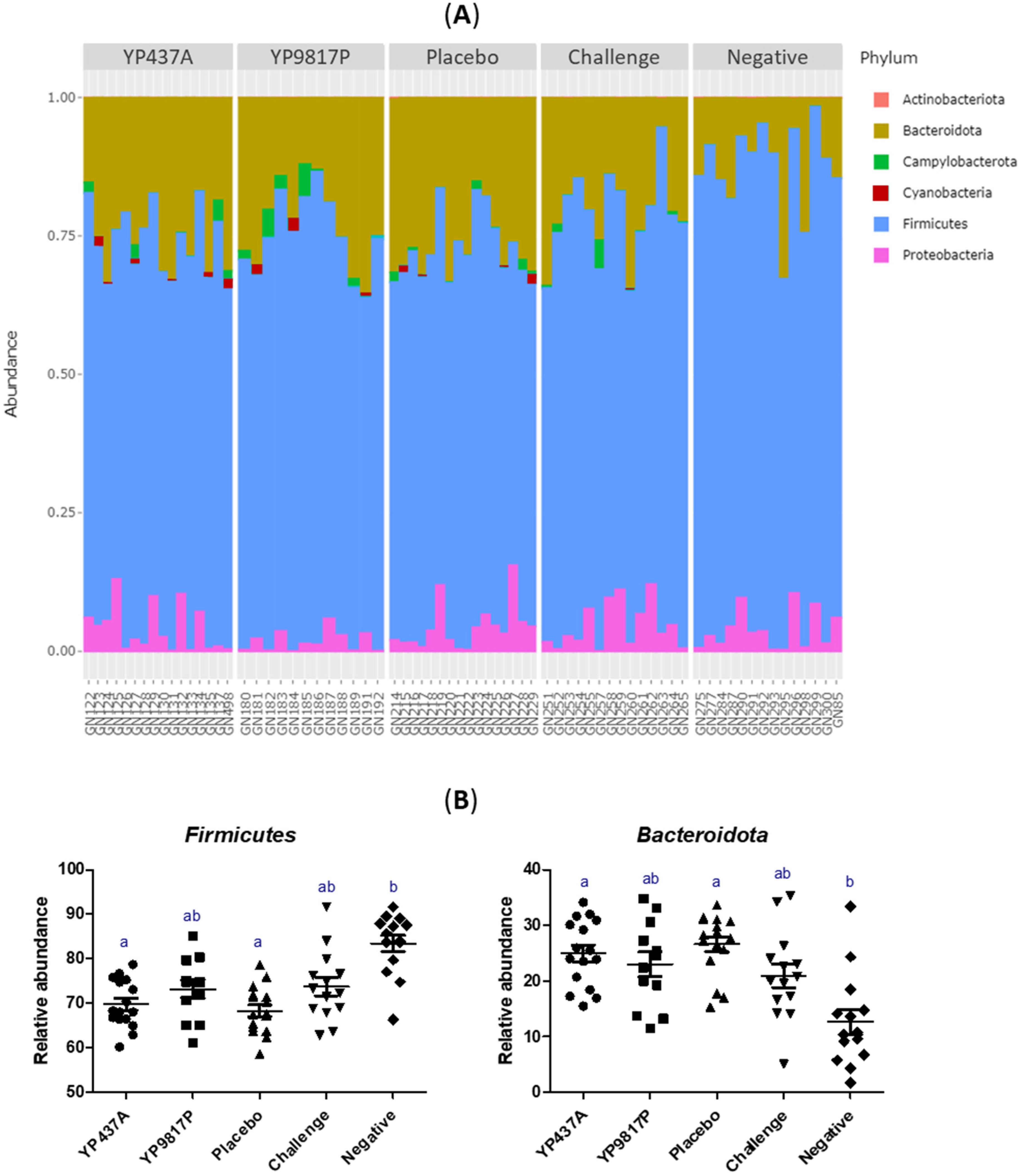 Pharmaceutics 15 01397 g008
