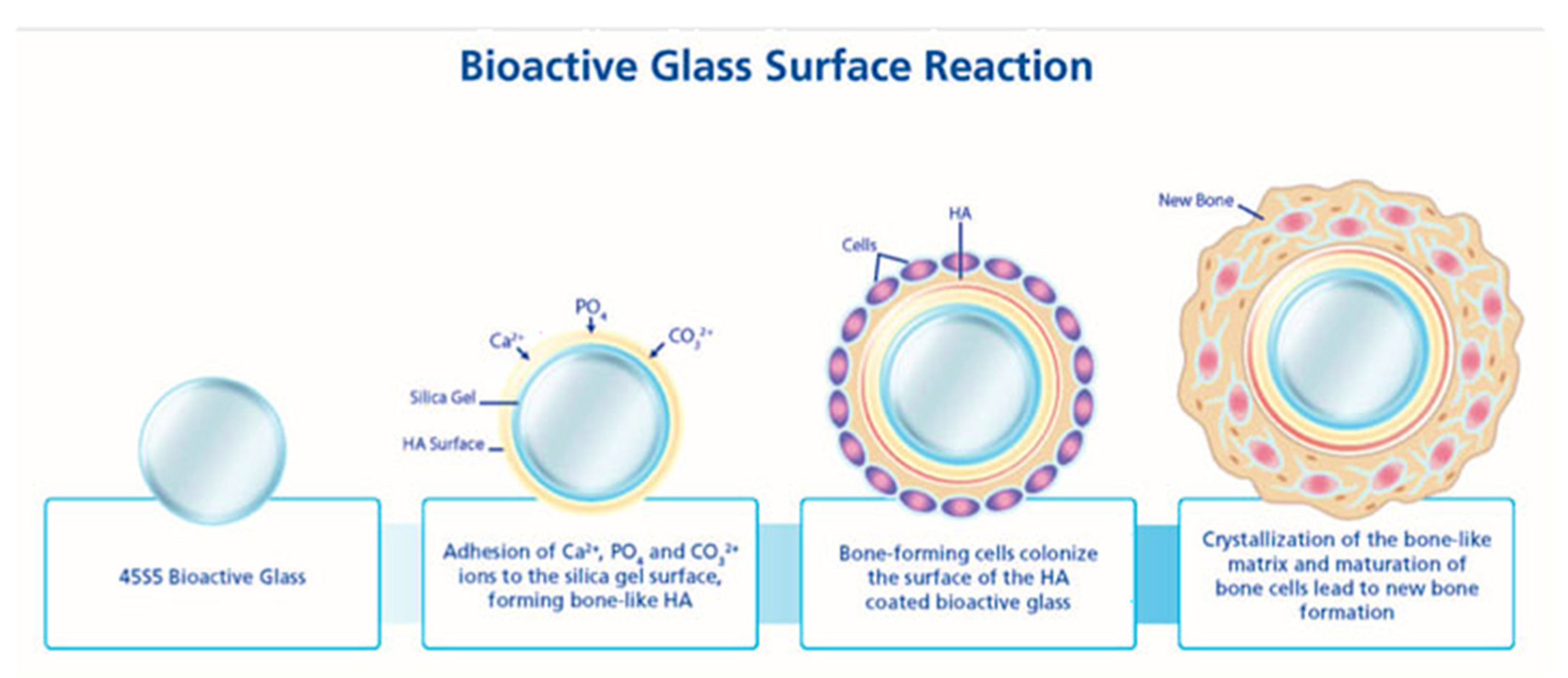 Pharmaceutics 15 01401 g003 Pharmaceutics 15 01401 g003