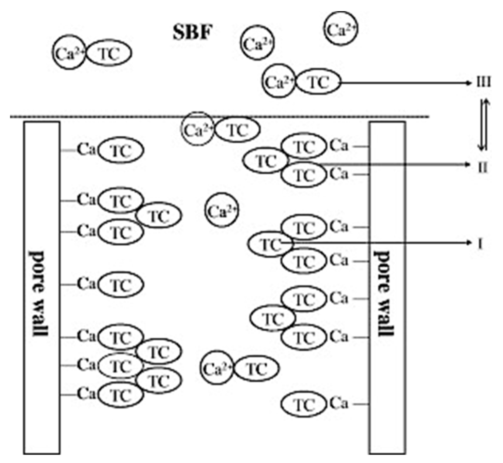 Pharmaceutics 15 01401 g006 Pharmaceutics 15 01401 g006