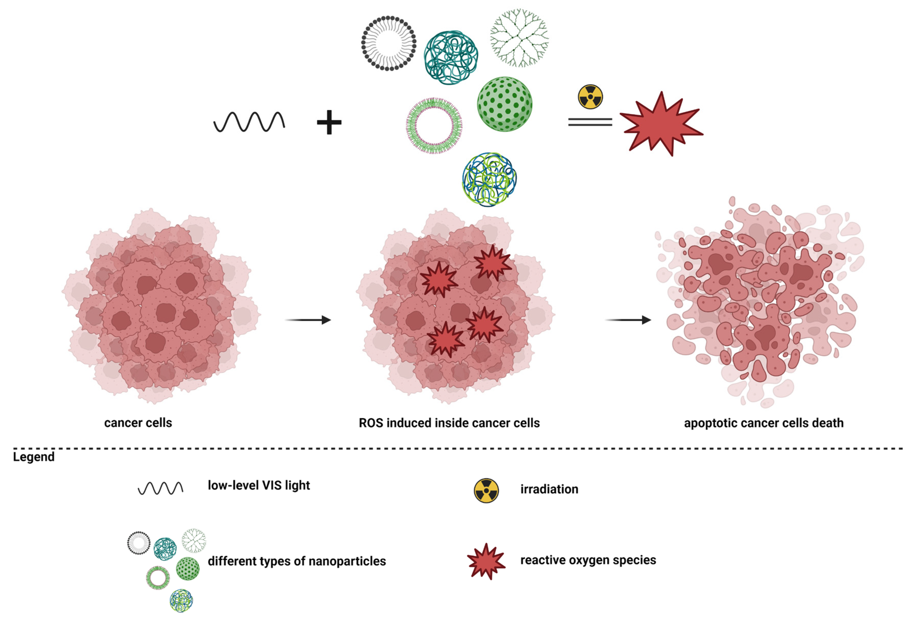 Pharmaceutics 15 01406 g002