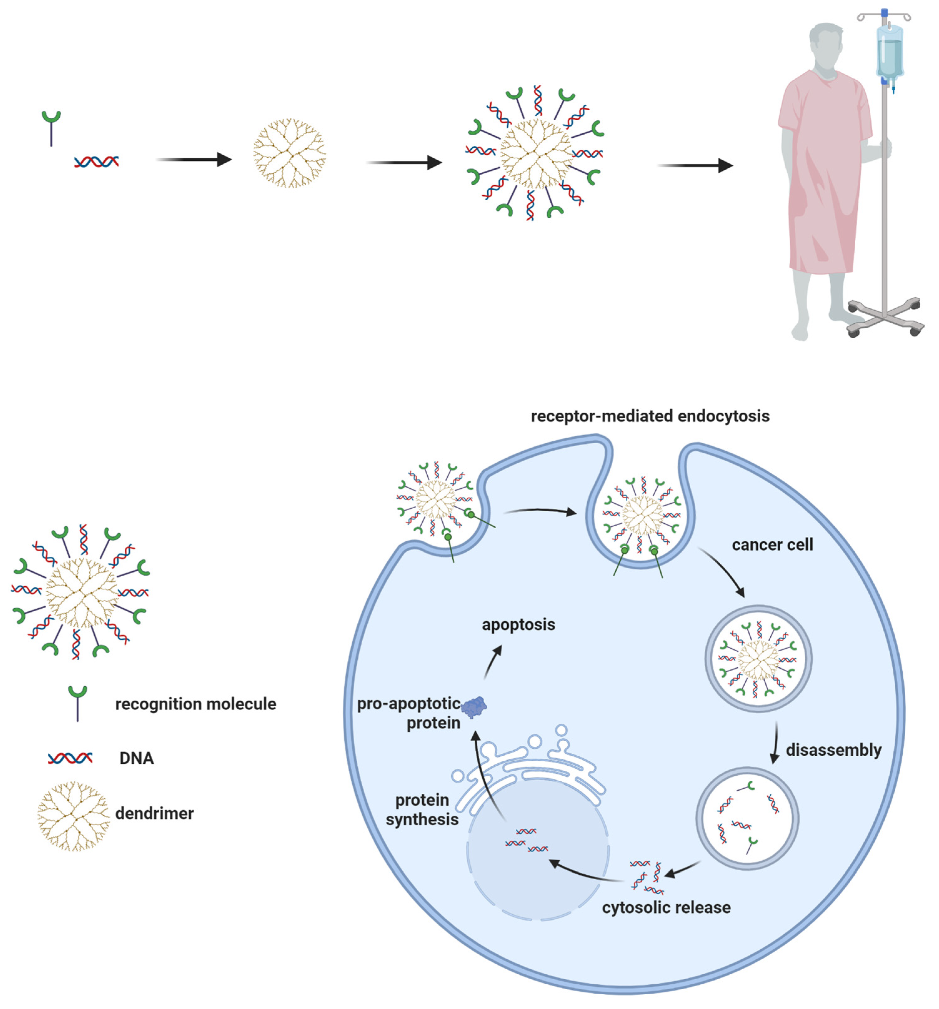 Pharmaceutics 15 01406 g005