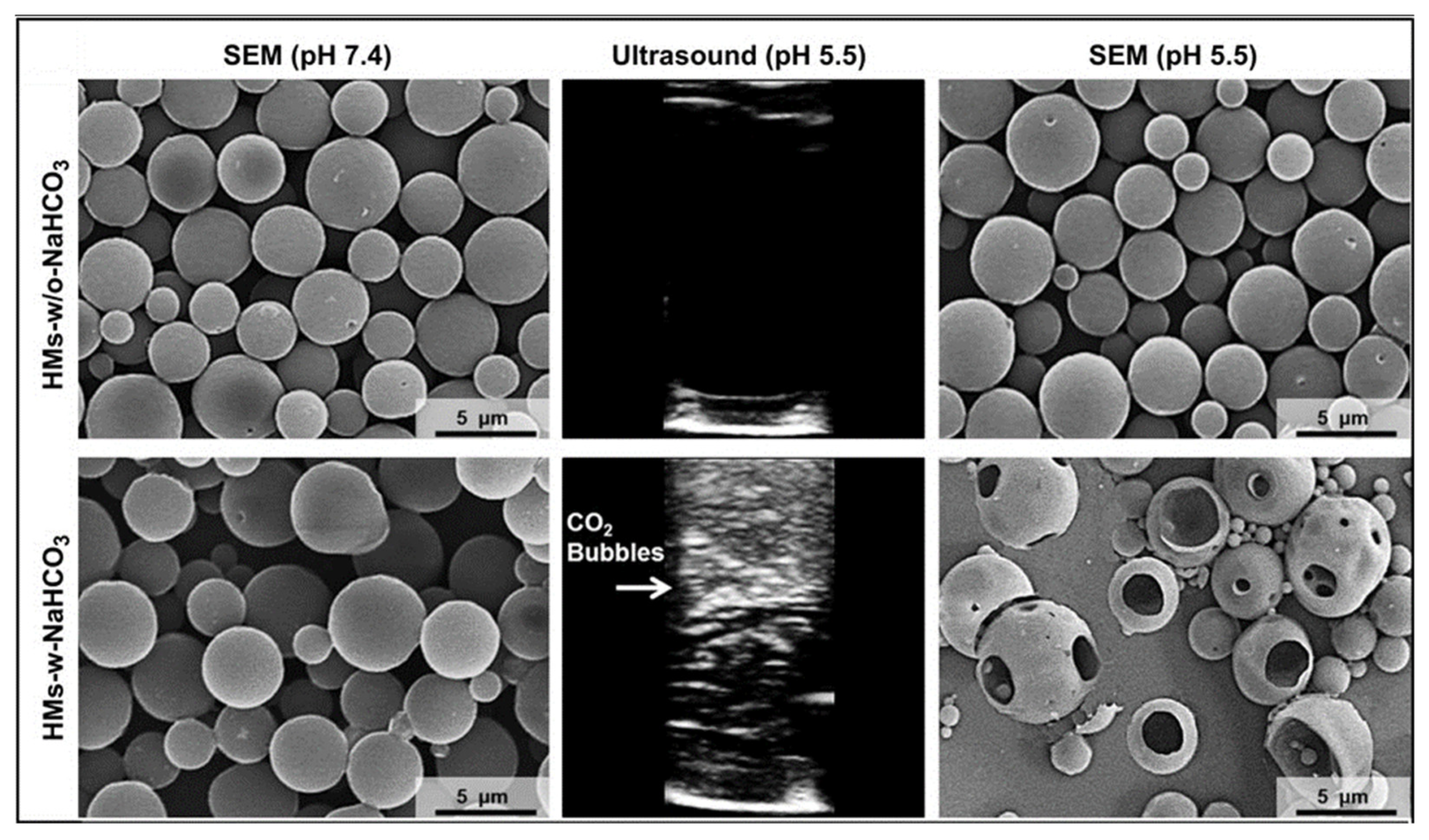 Pharmaceutics 15 01407 g001