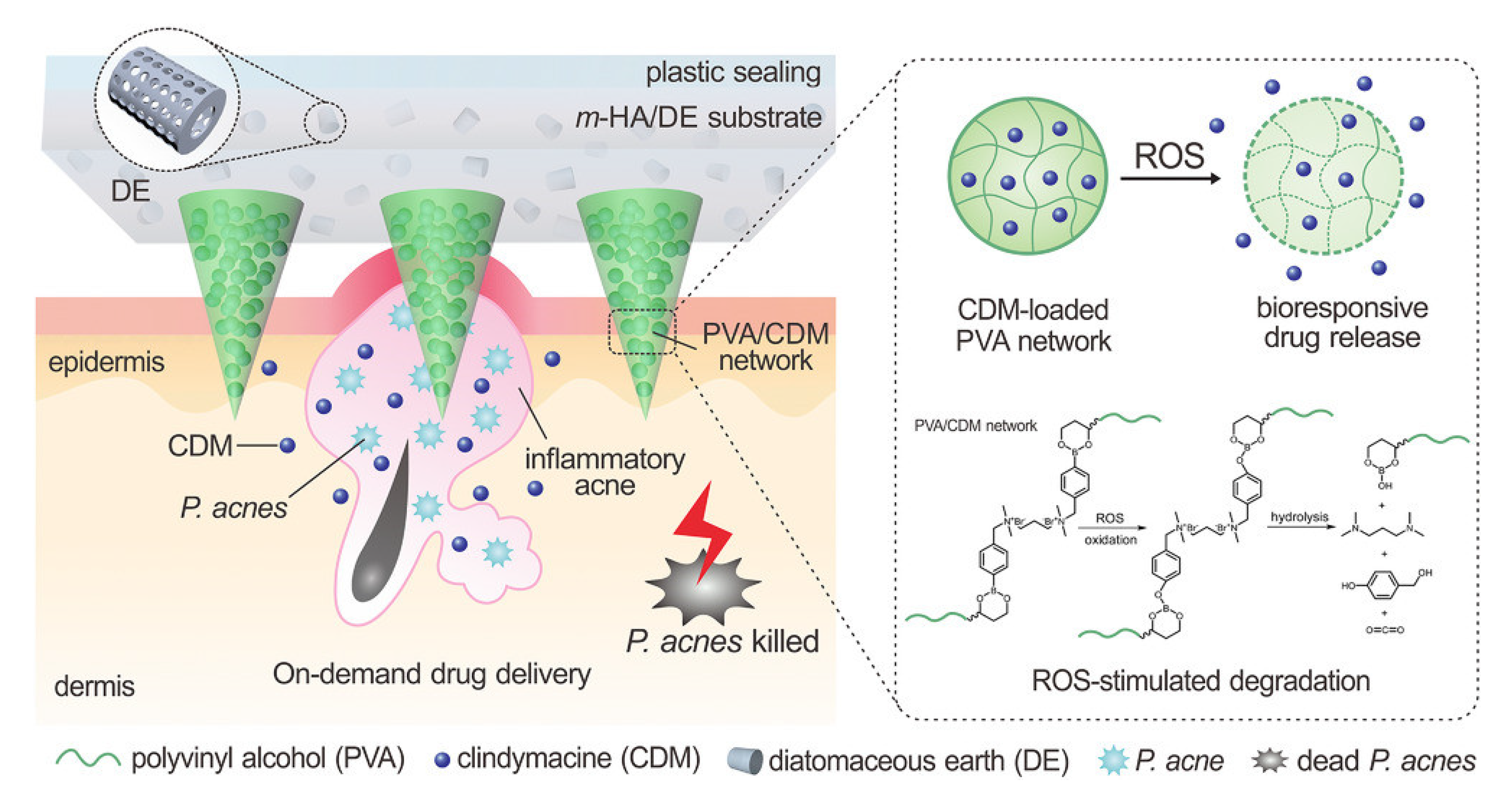 Pharmaceutics 15 01407 g005