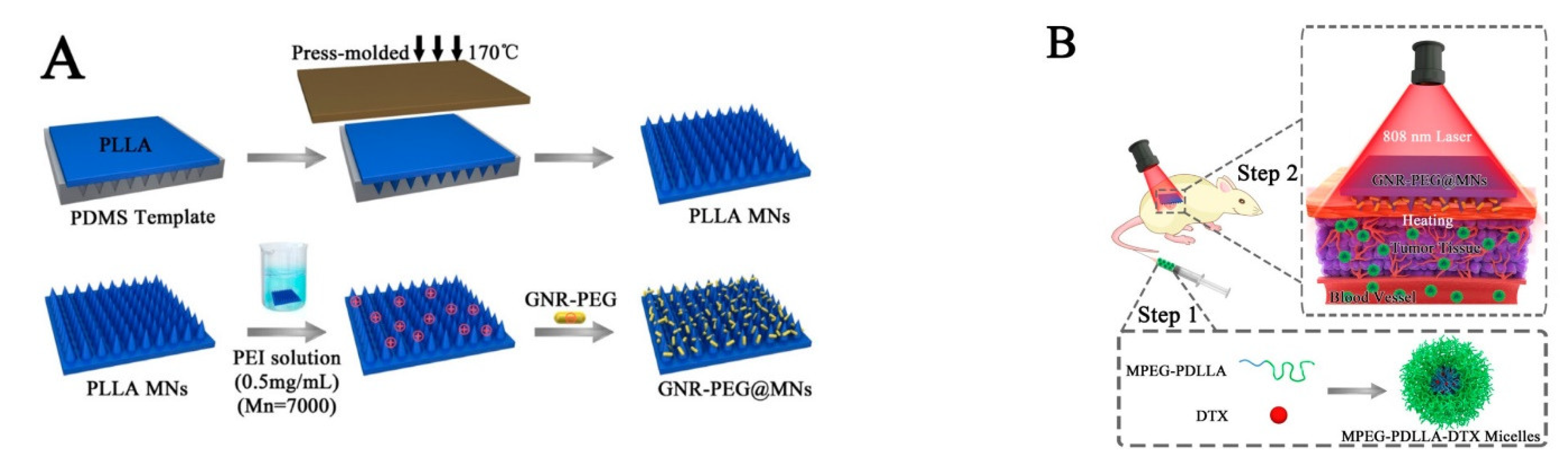 Pharmaceutics 15 01407 g008