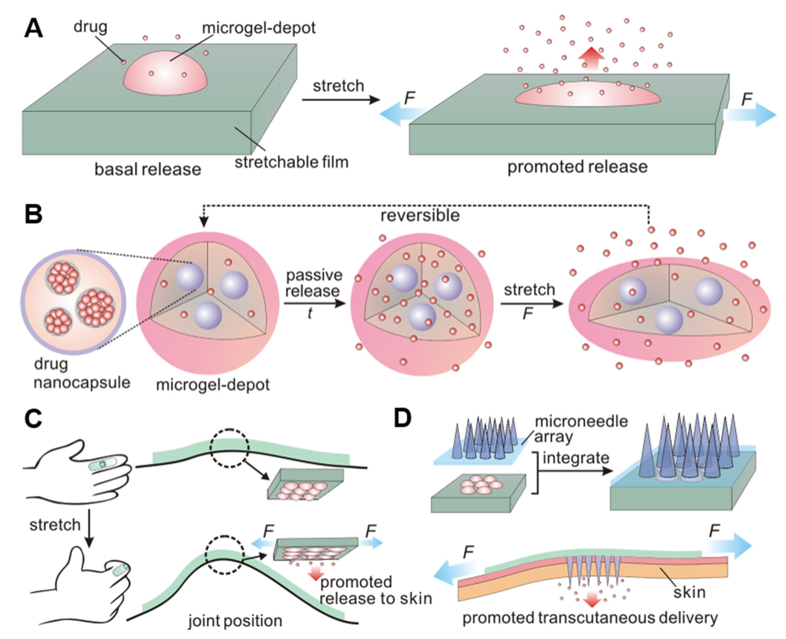 Pharmaceutics 15 01407 g009