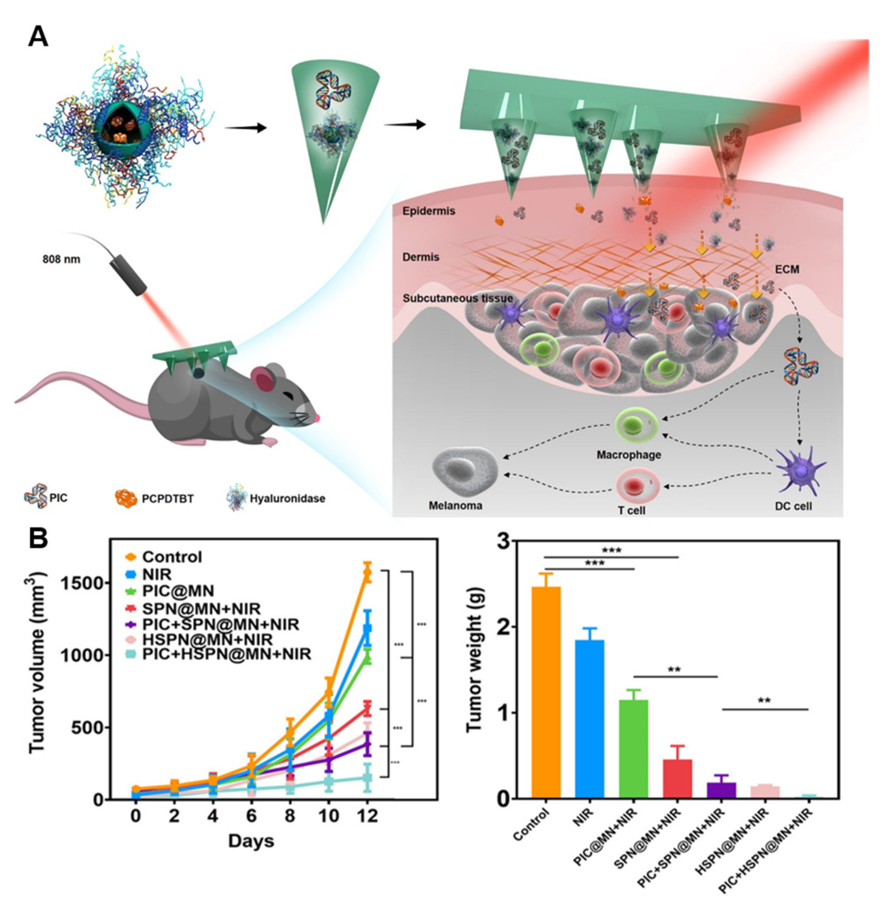 Pharmaceutics 15 01407 g011
