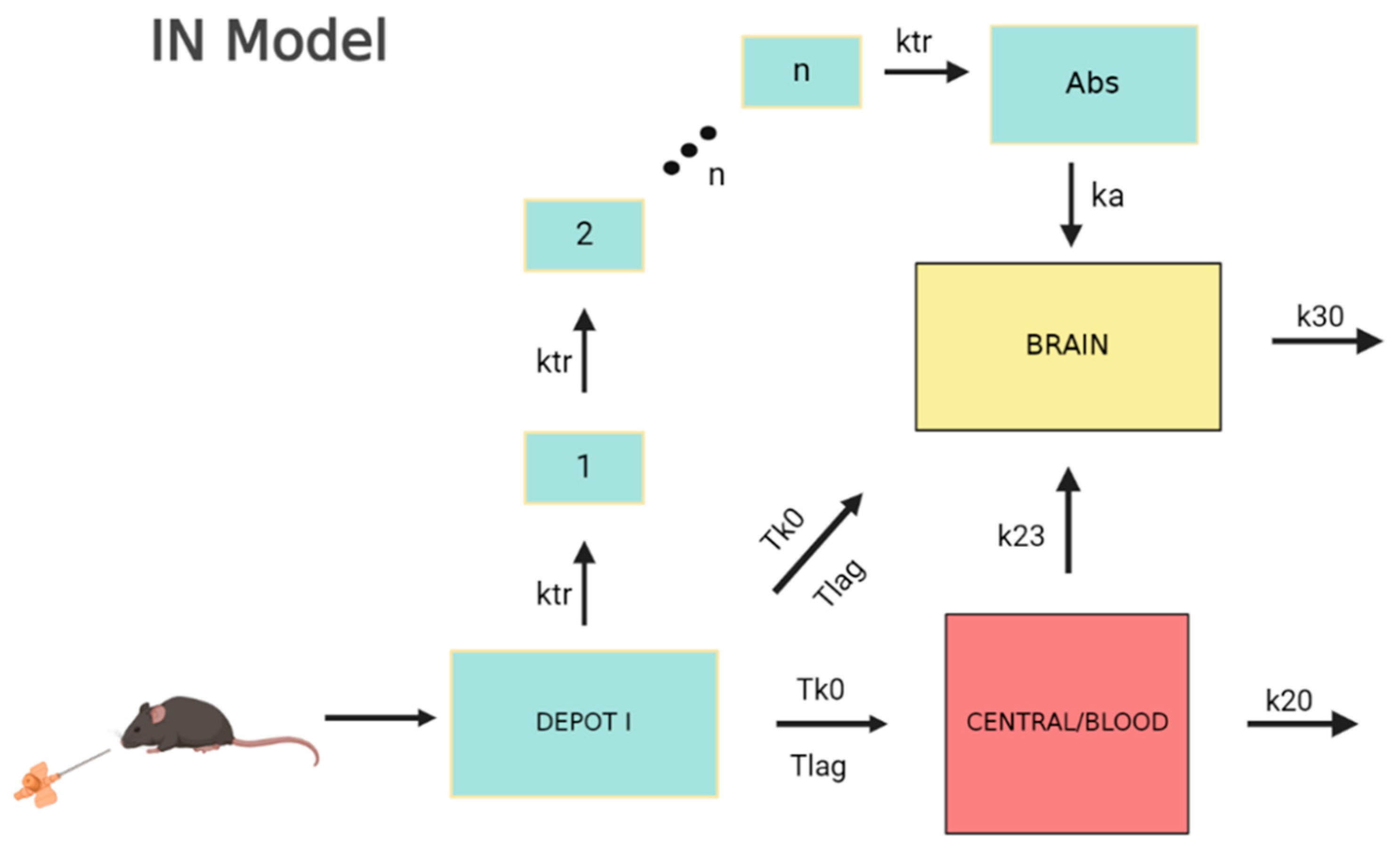 Pharmaceutics 15 01409 g004