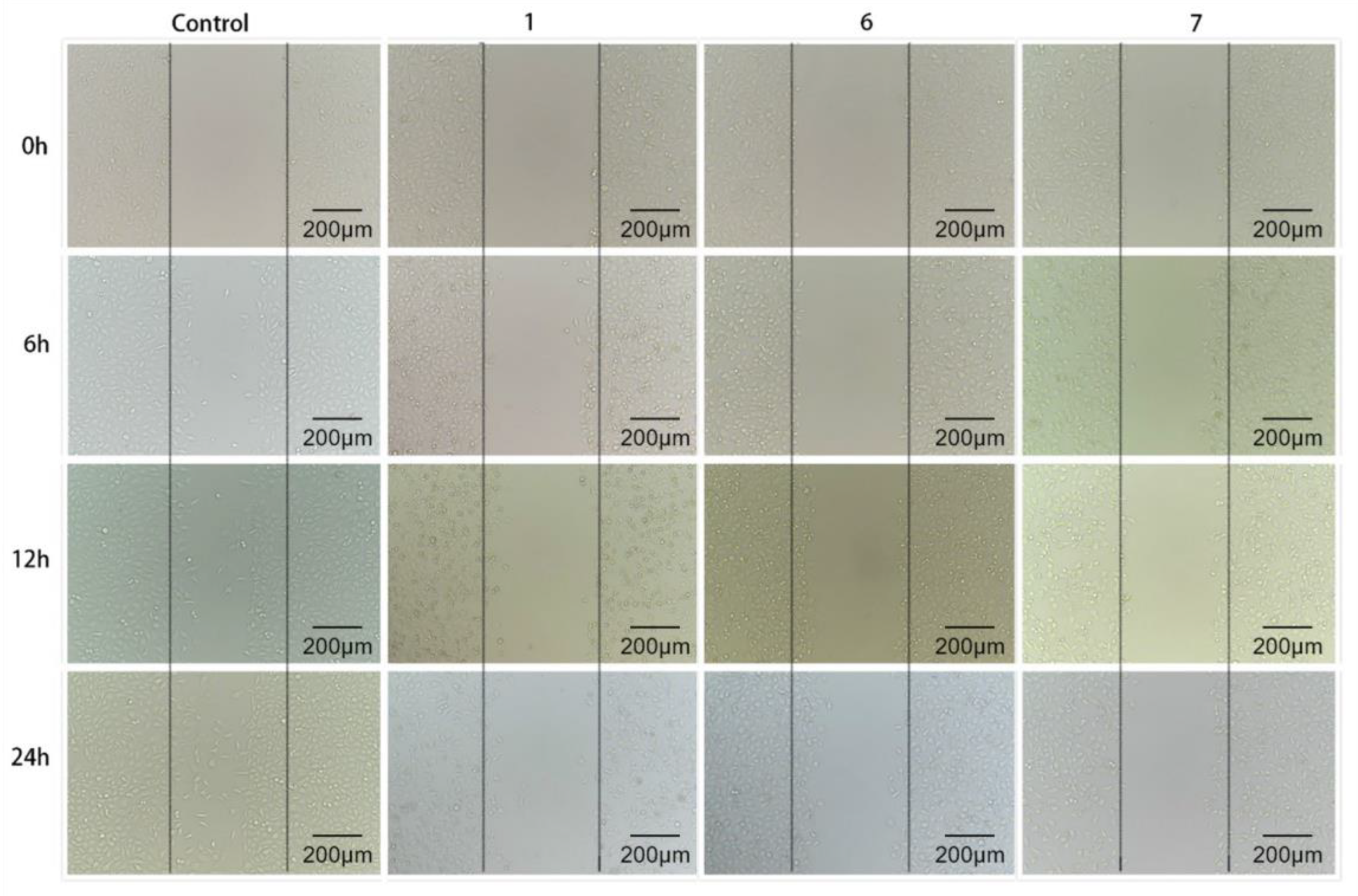 Pharmaceutics 15 01414 g005