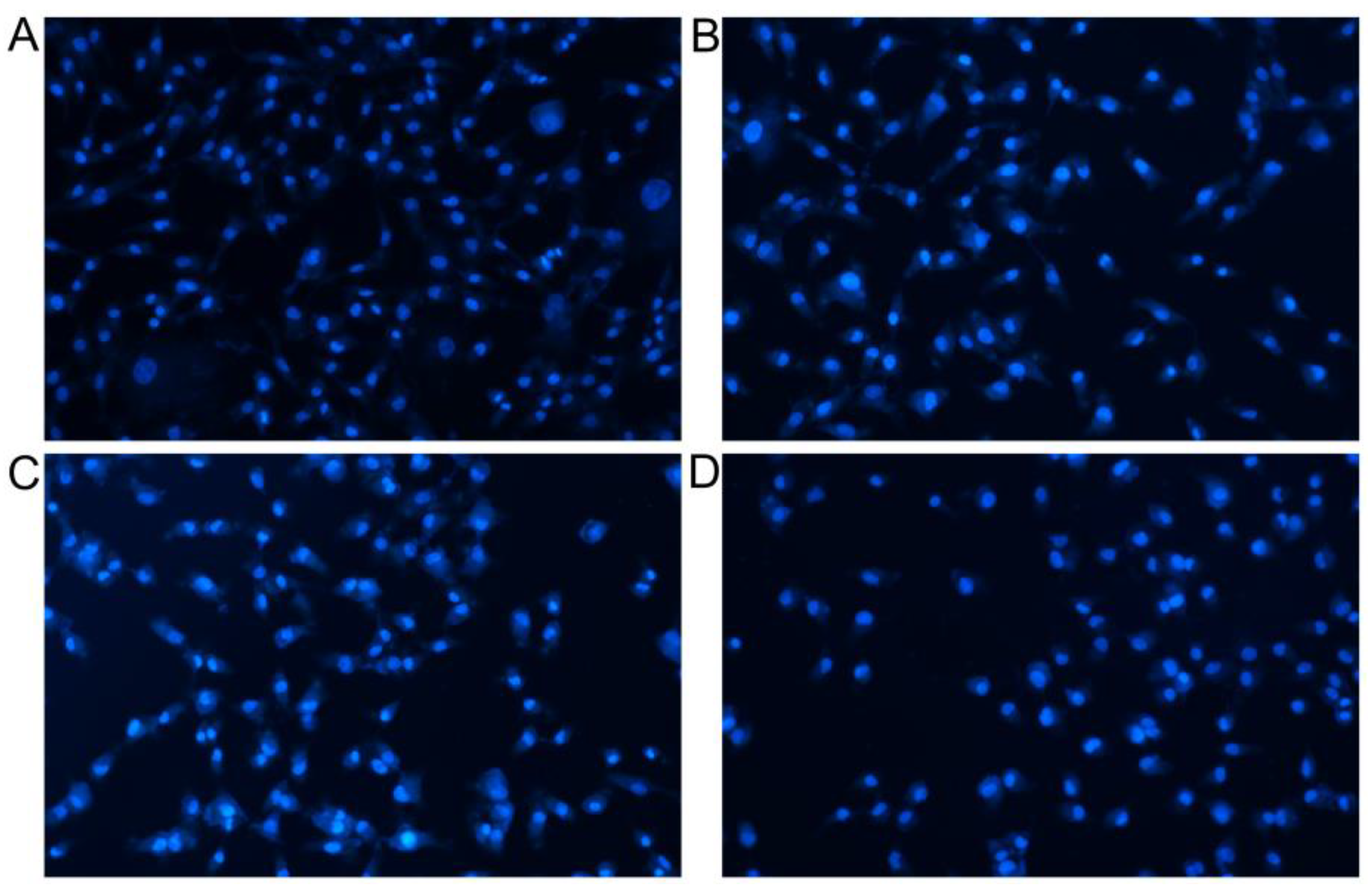 Pharmaceutics 15 01414 g008