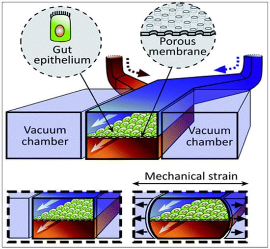 Pharmaceutics 15 01415 g007