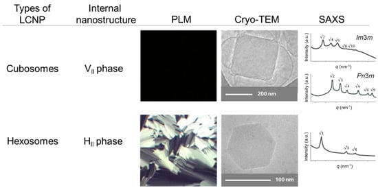 Pharmaceutics 15 01421 g004