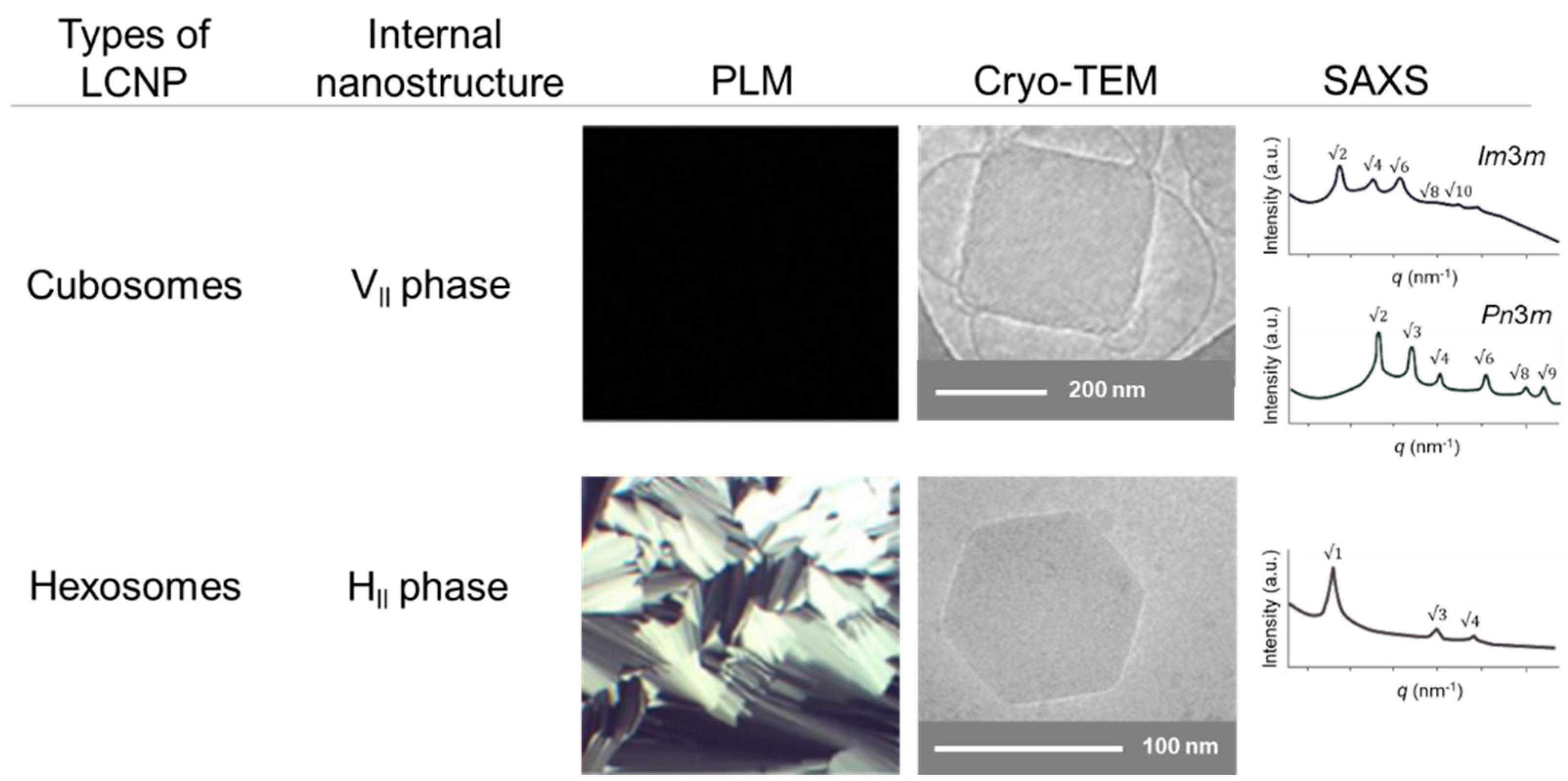 Pharmaceutics 15 01421 g004