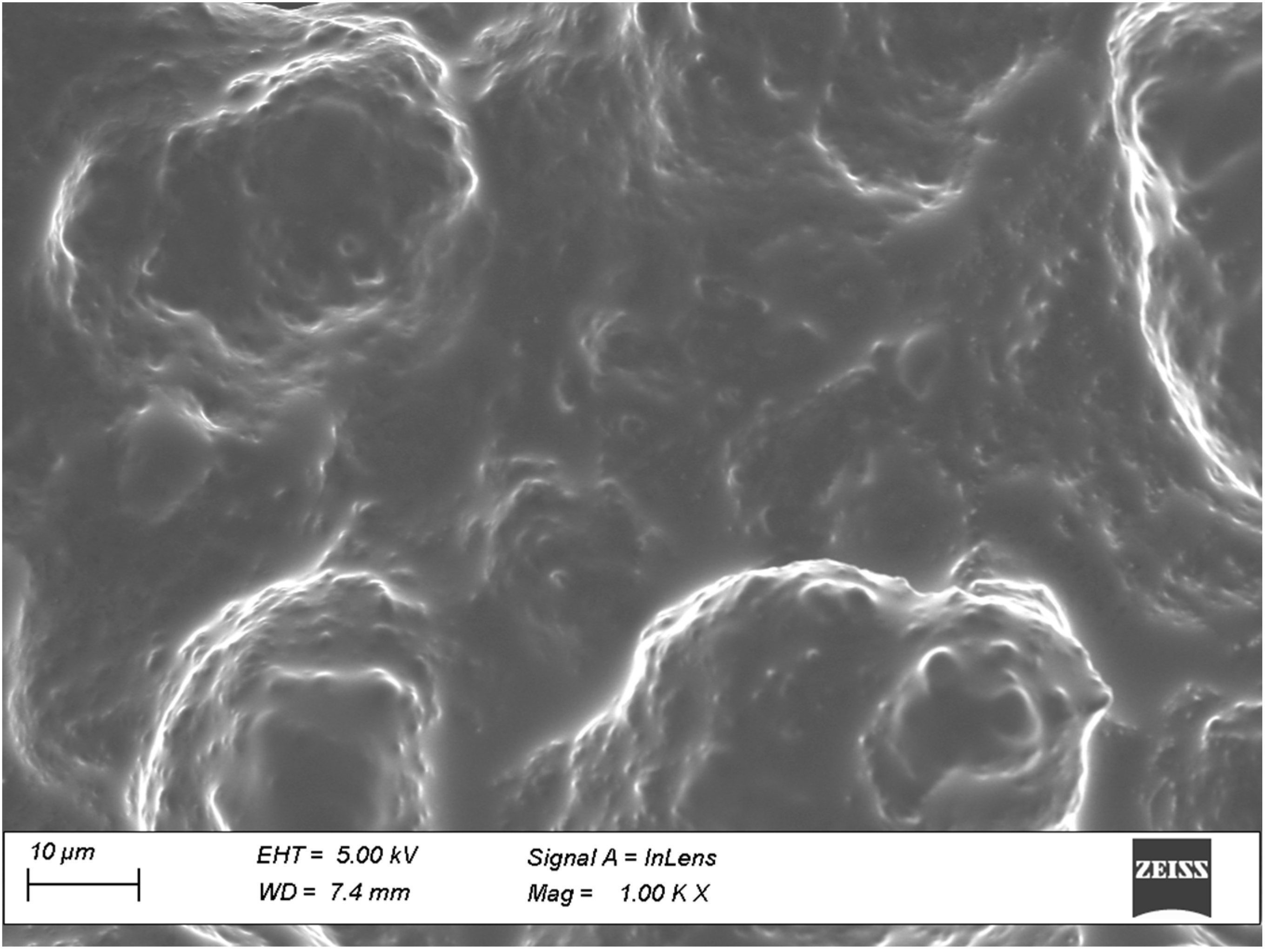 Pharmaceutics 15 01422 g010