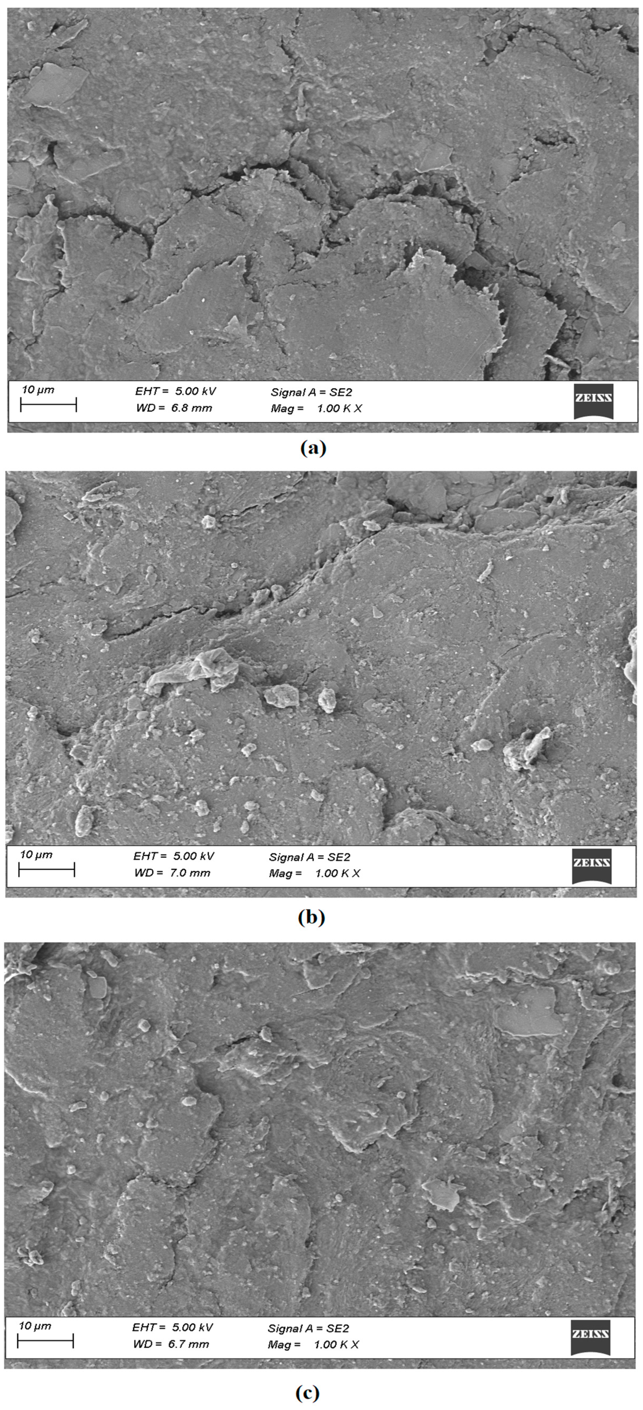 Pharmaceutics 15 01422 g011