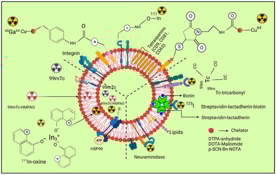 Pharmaceutics 15 01426 g002