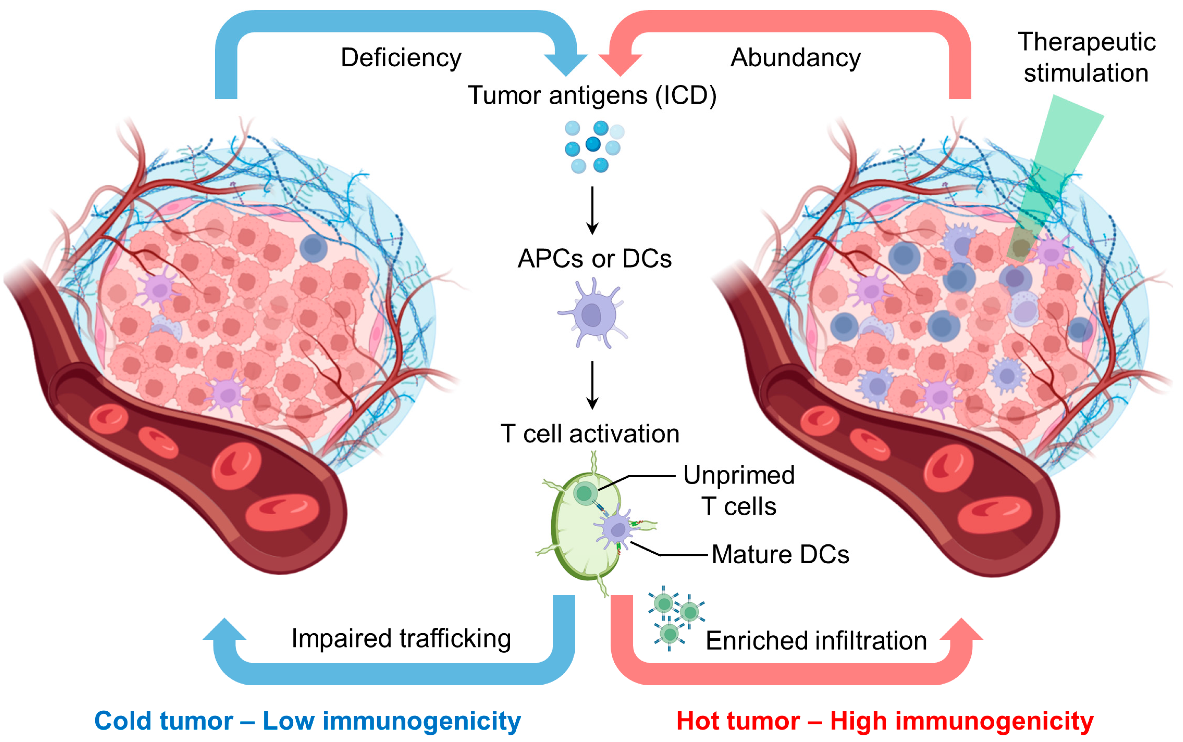 Pharmaceutics 15 01427 g001