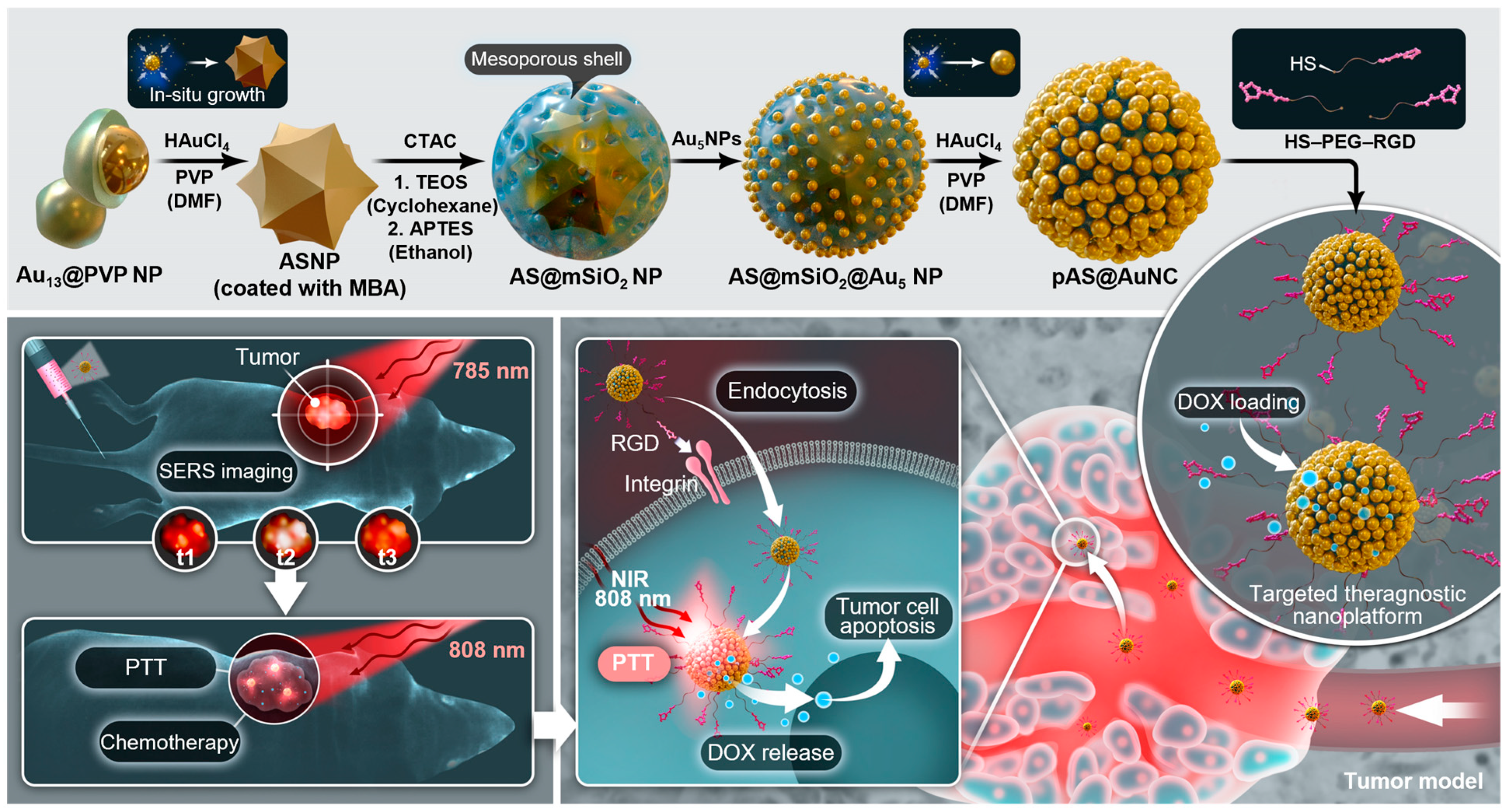 Pharmaceutics 15 01427 g004