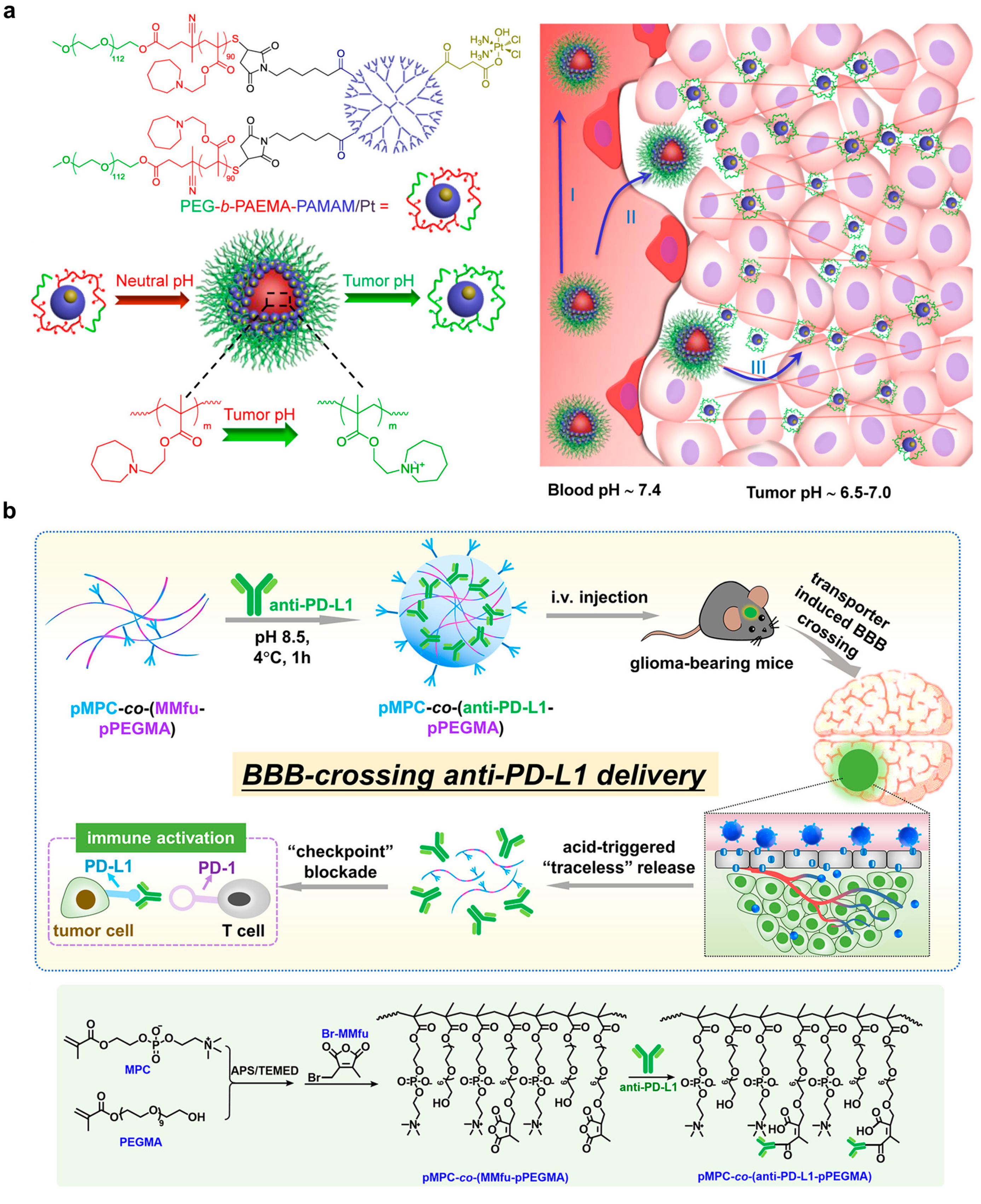 Pharmaceutics 15 01427 g005