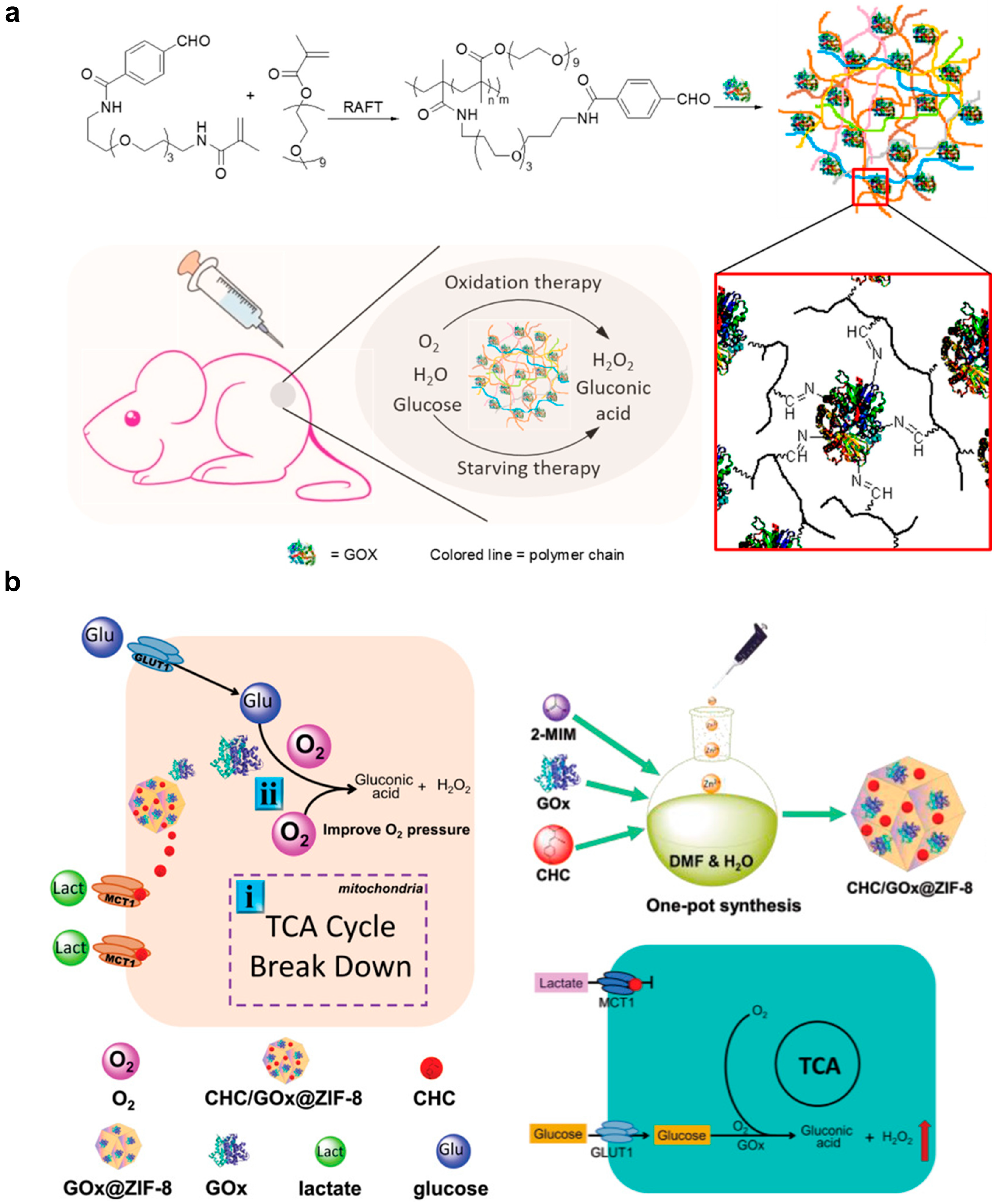 Pharmaceutics 15 01427 g006