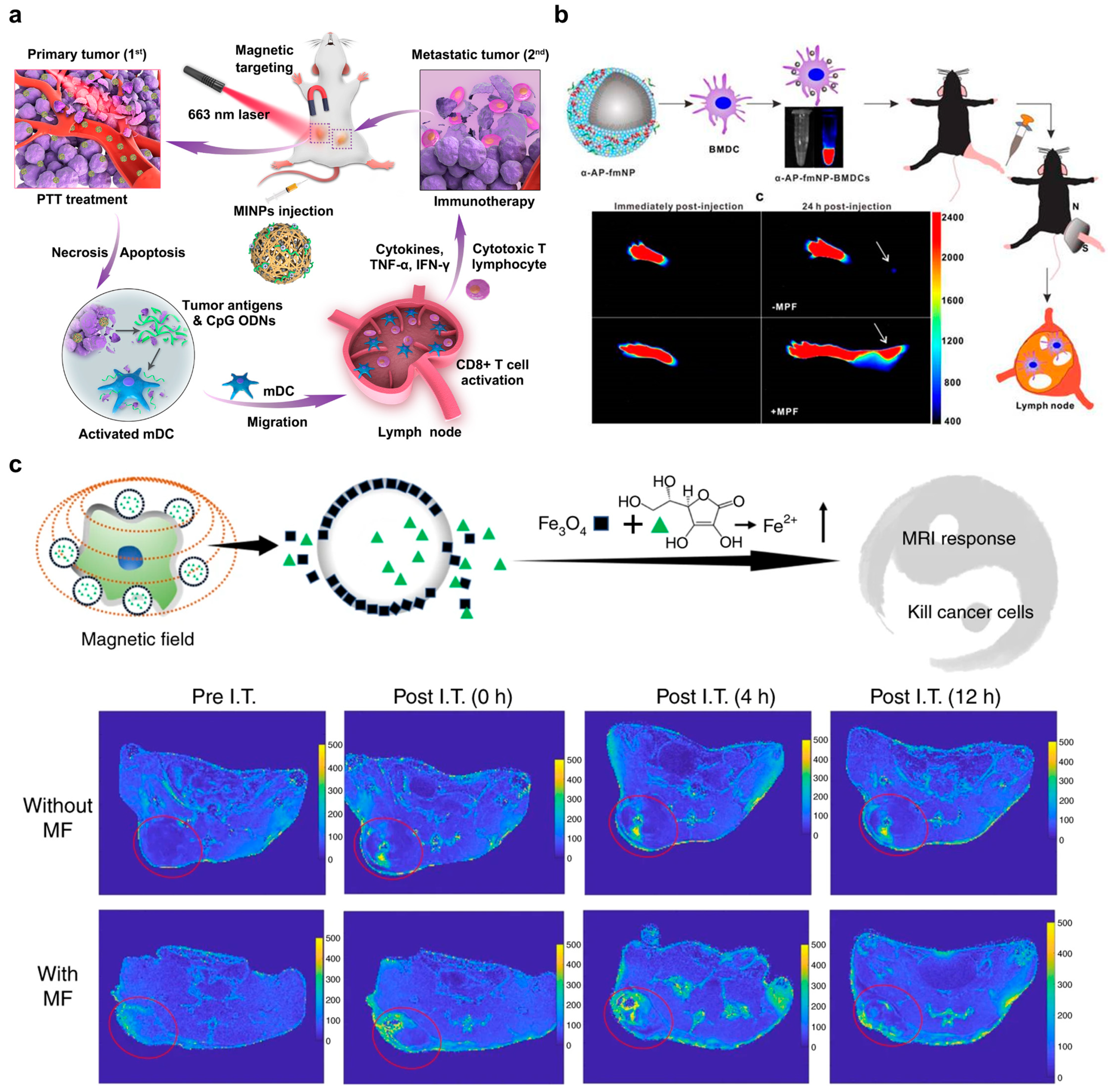 Pharmaceutics 15 01427 g007