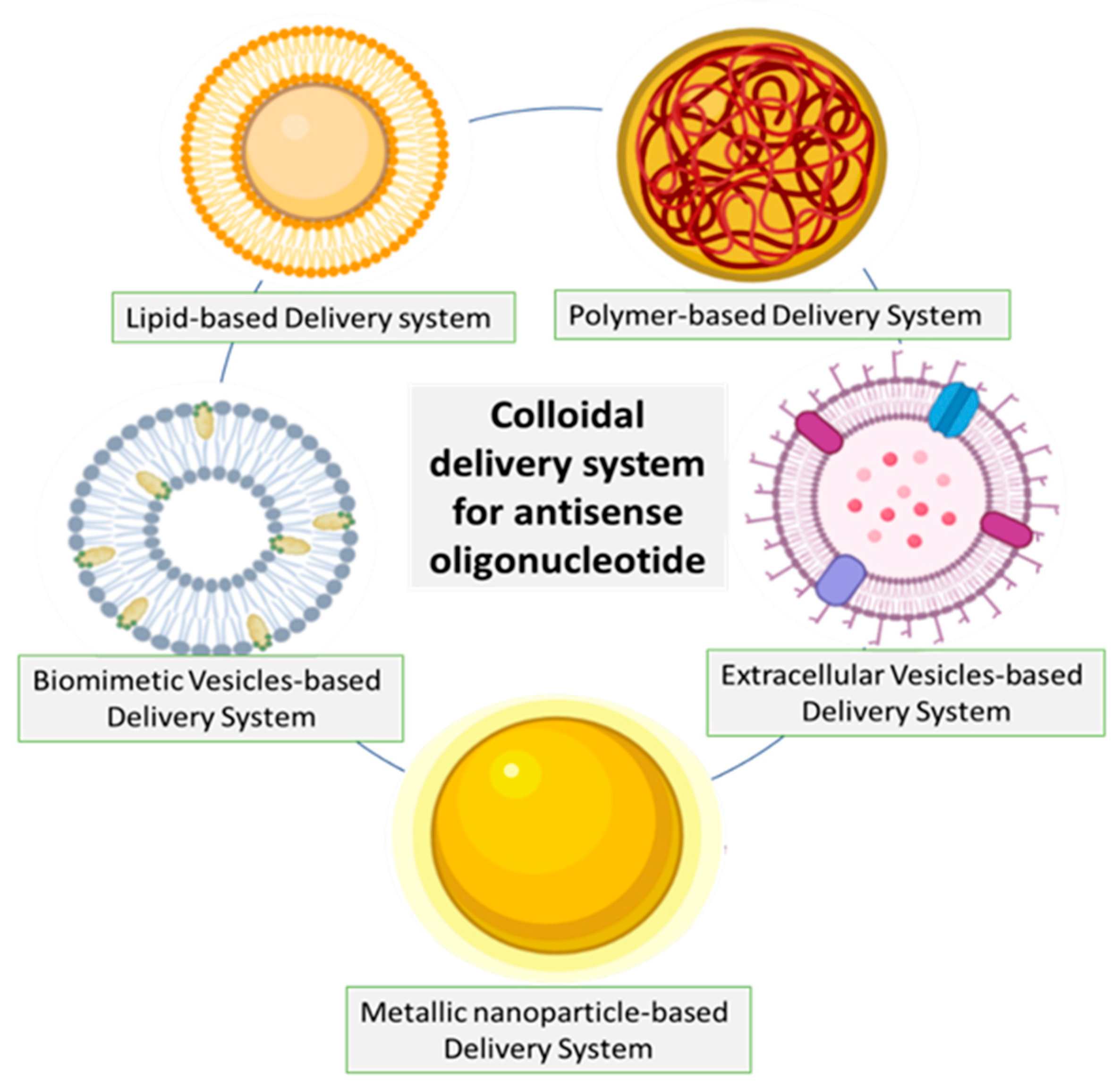 Pharmaceutics 15 01435 g005