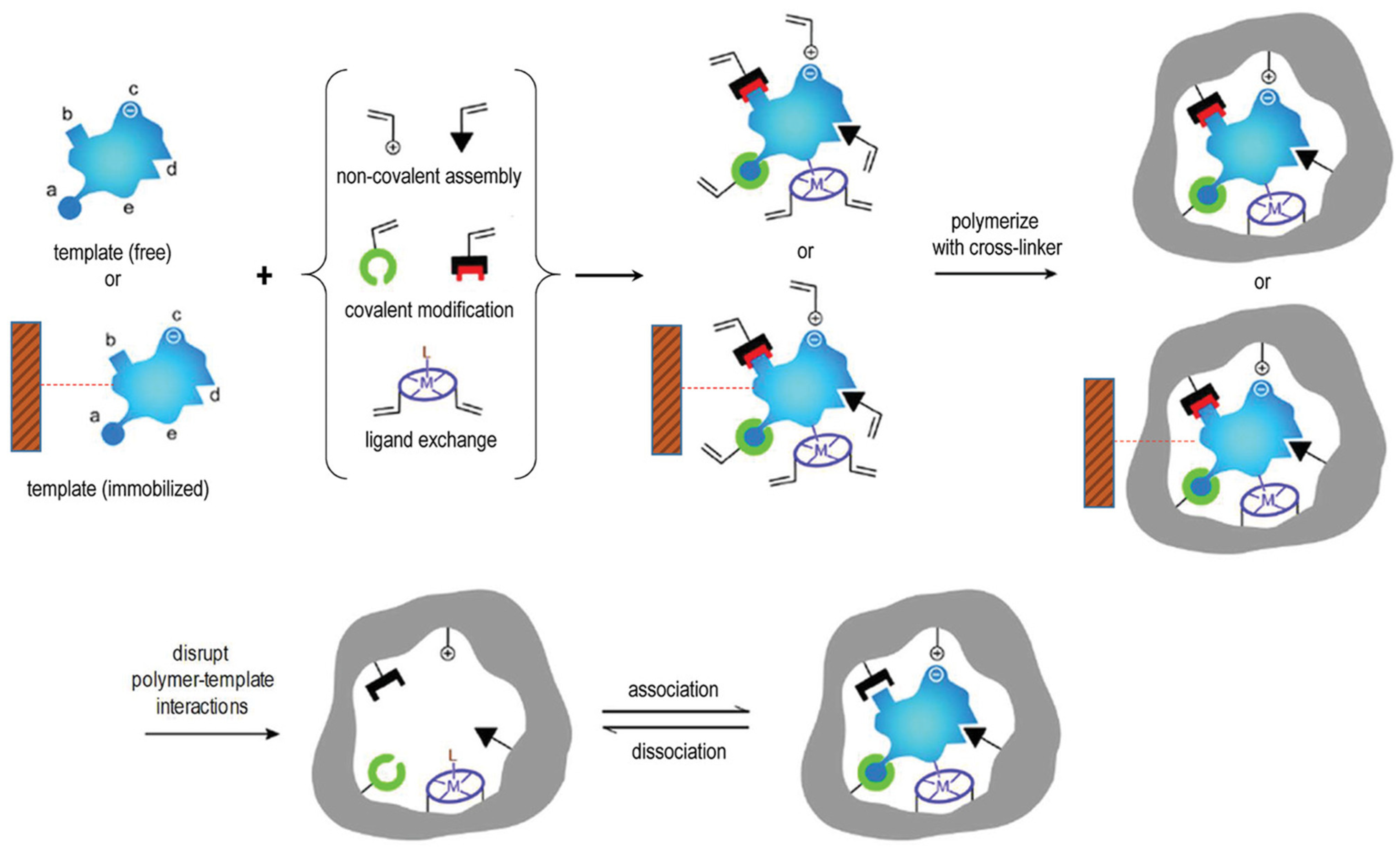 Pharmaceutics 15 01440 g001