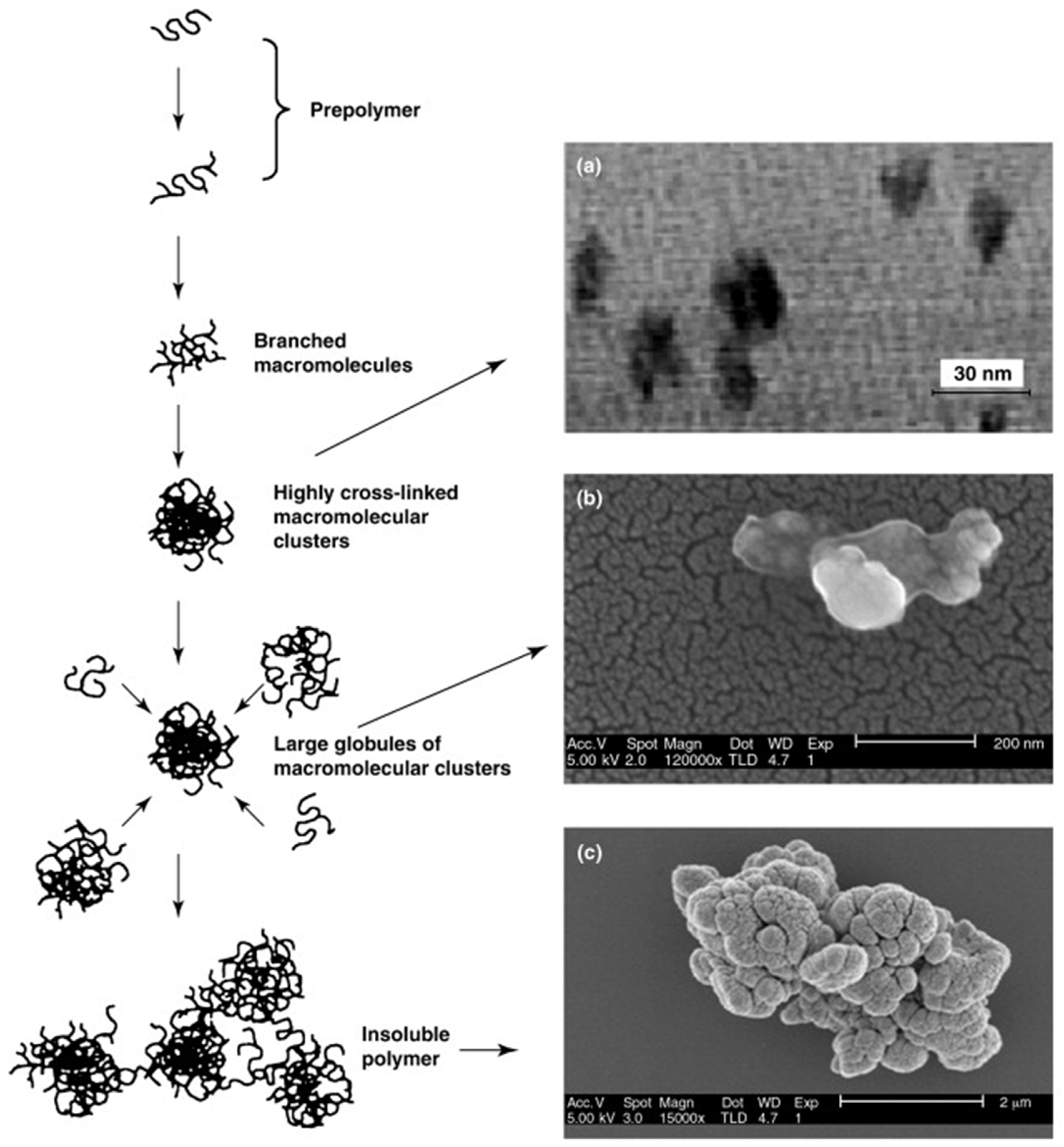 Pharmaceutics 15 01440 g008