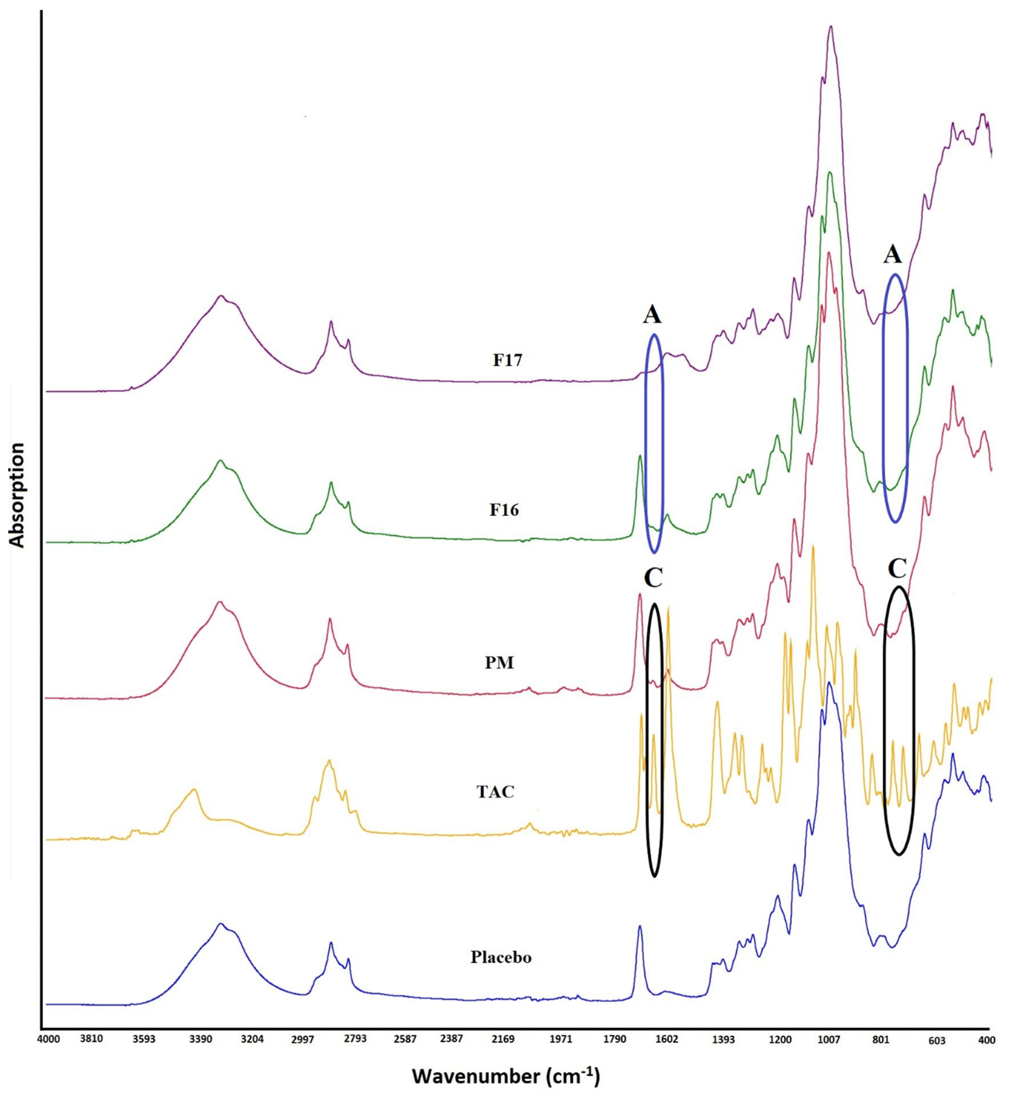 Pharmaceutics 15 01442 g002