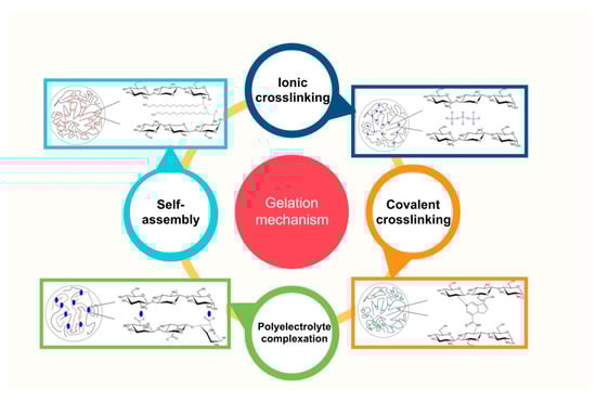 Pharmaceutics 15 01455 g007 550