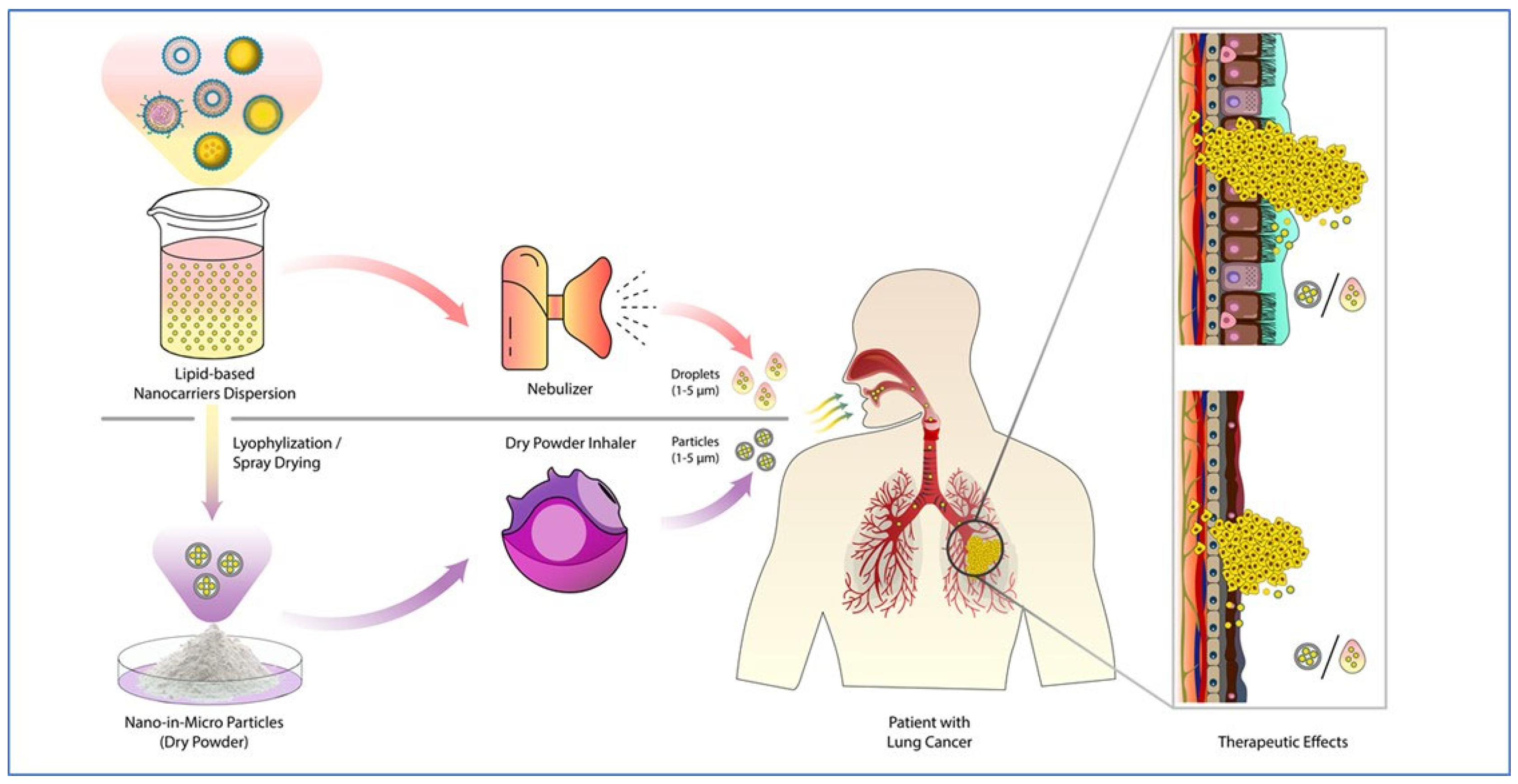 Pharmaceutics 15 01457 g001 Pharmaceutics 15 01457 g001