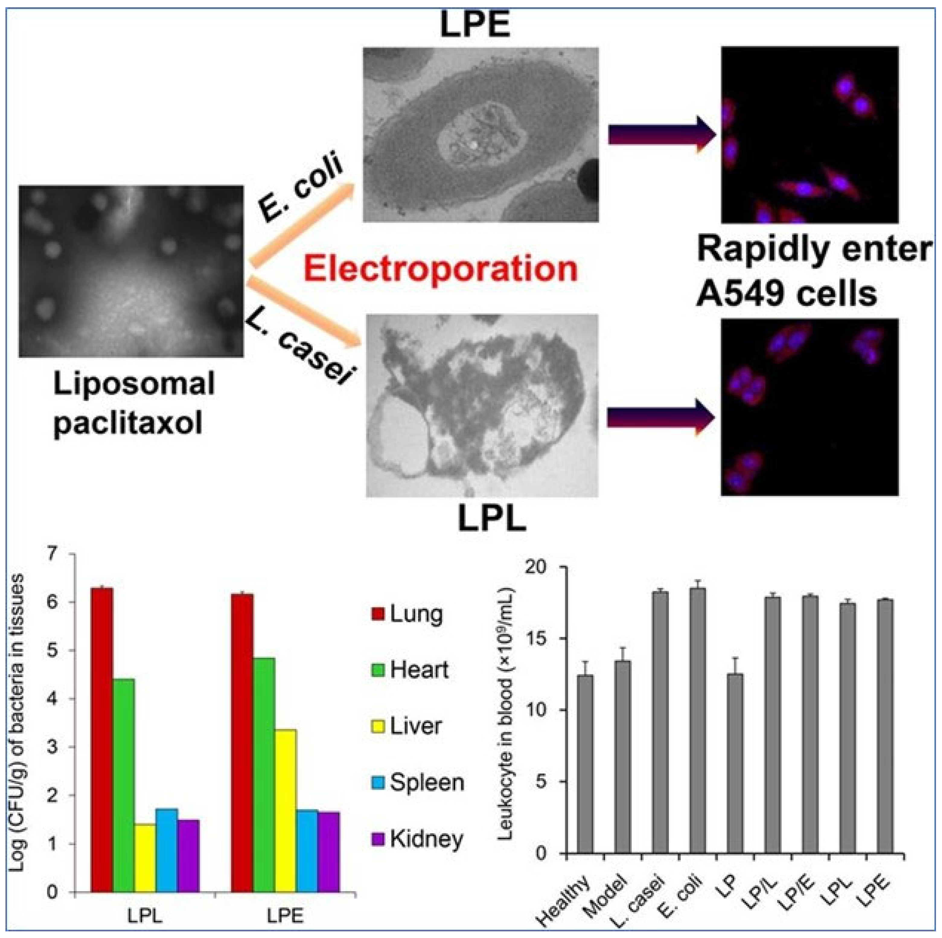 Pharmaceutics 15 01457 g004 Pharmaceutics 15 01457 g004