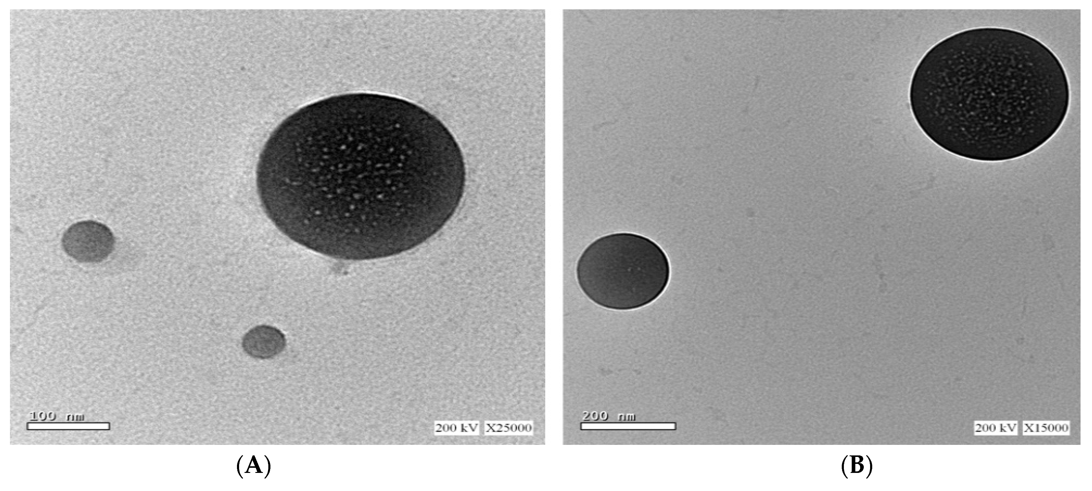 Pharmaceutics 15 01461 g006a