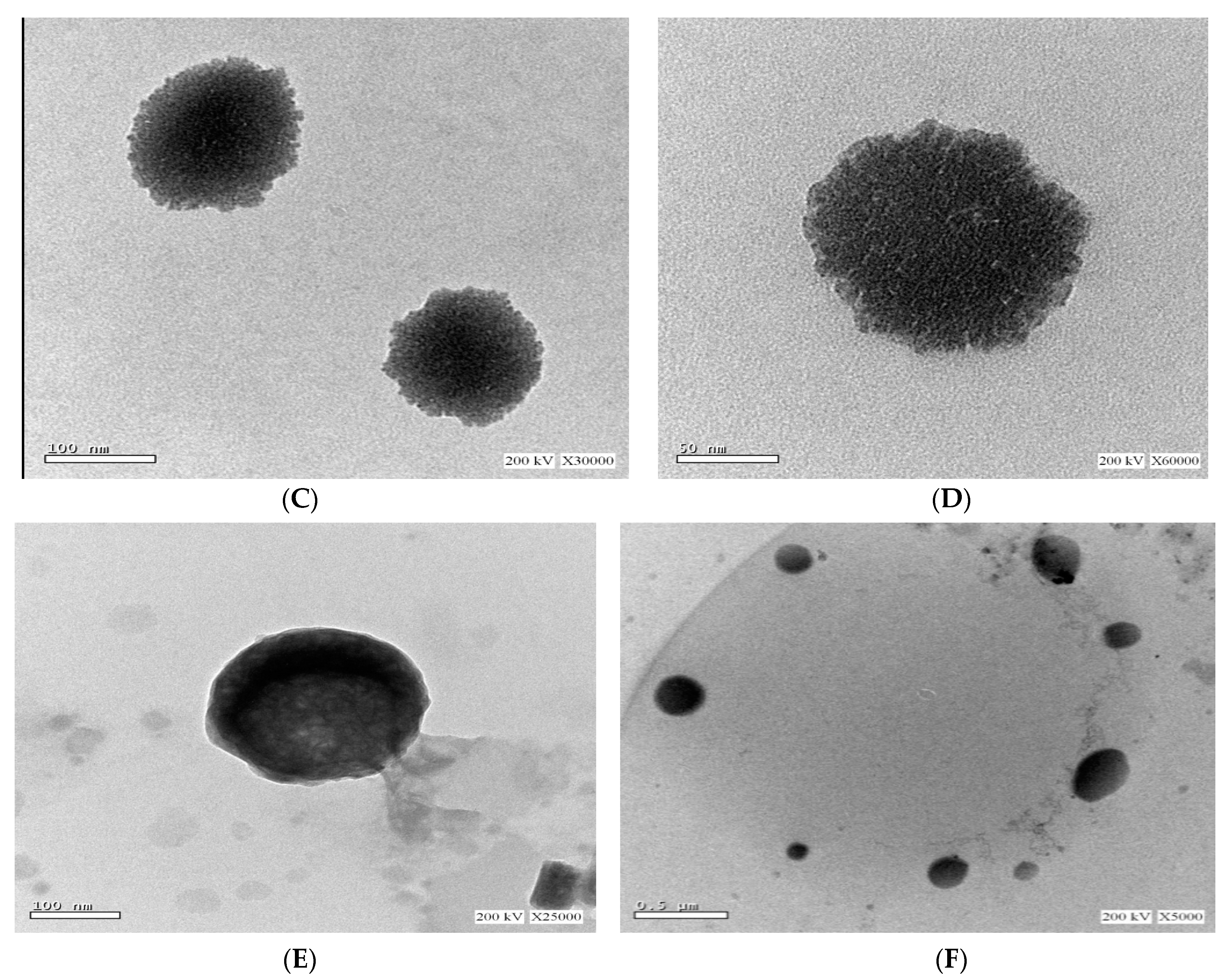 Pharmaceutics 15 01461 g006b