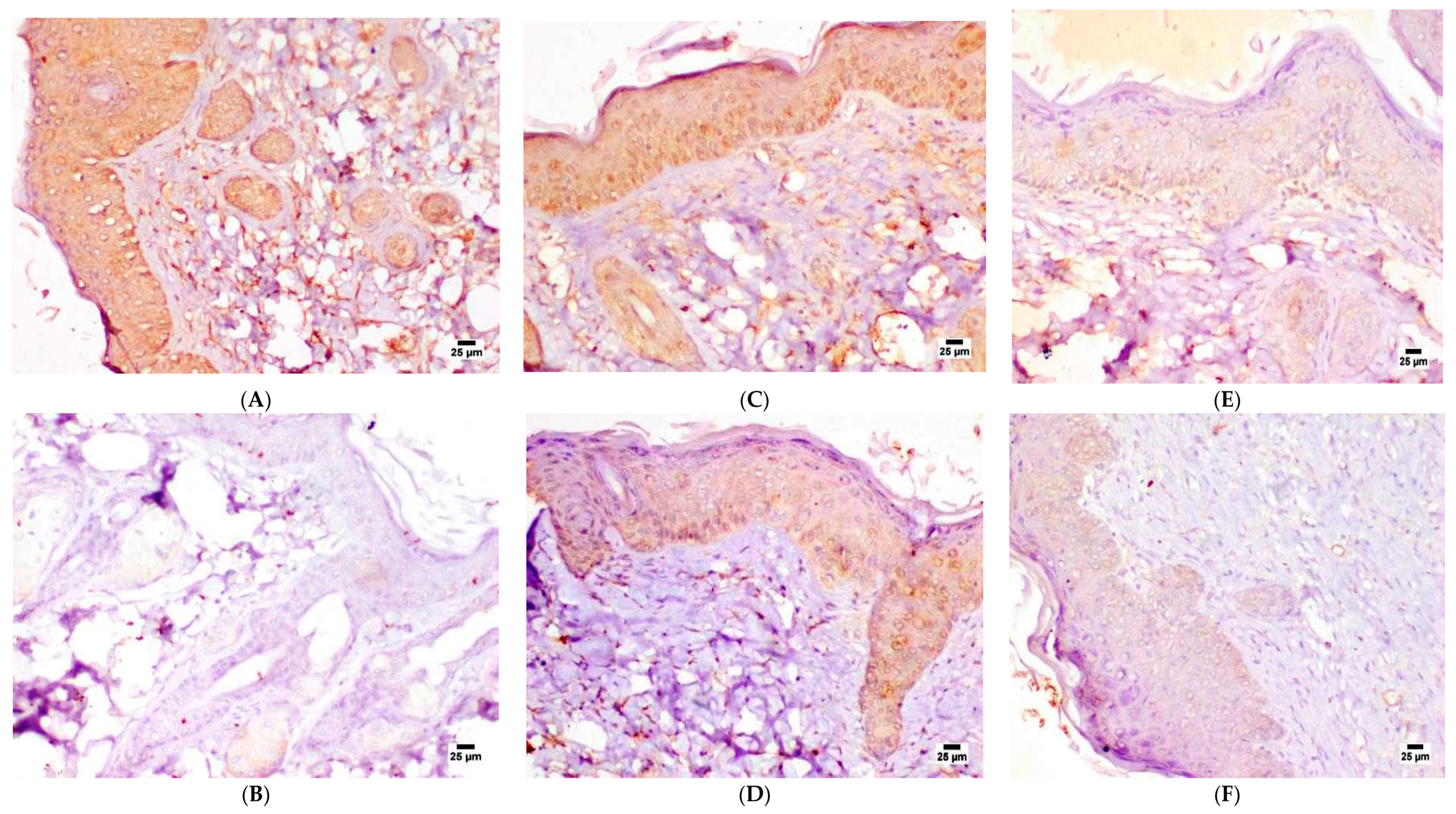 Pharmaceutics 15 01461 g013