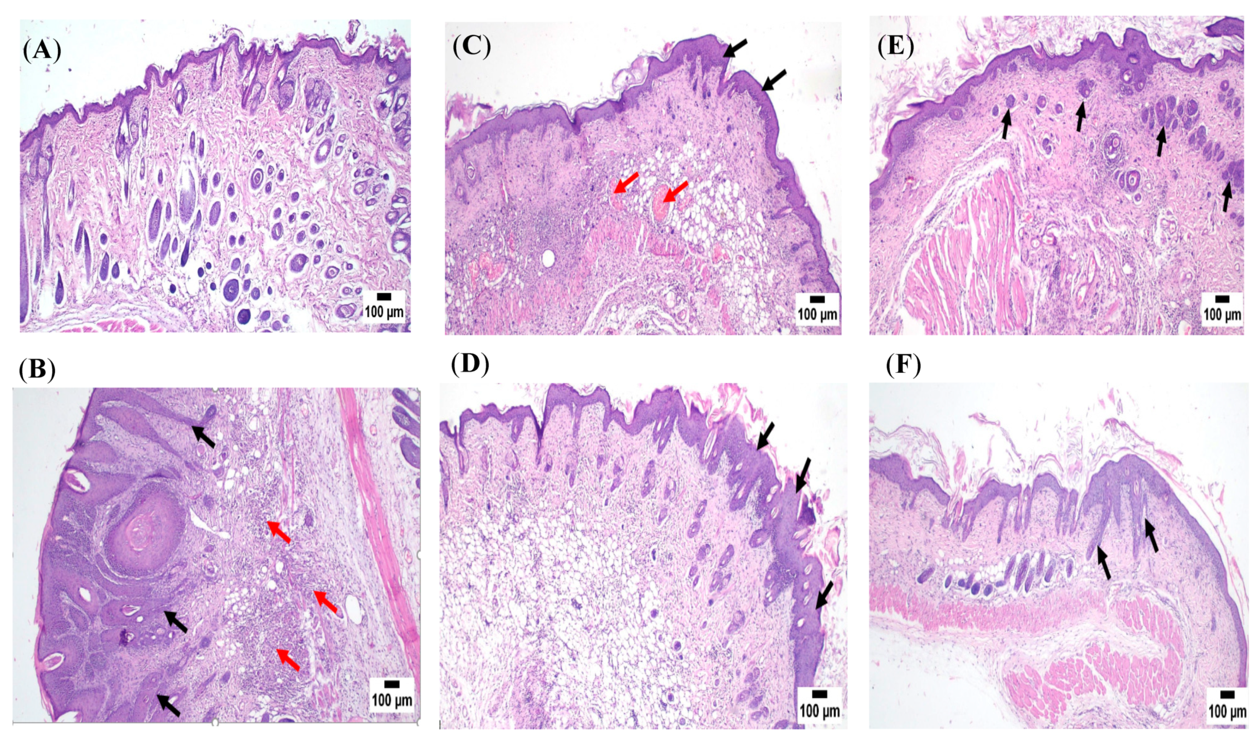 Pharmaceutics 15 01461 g014