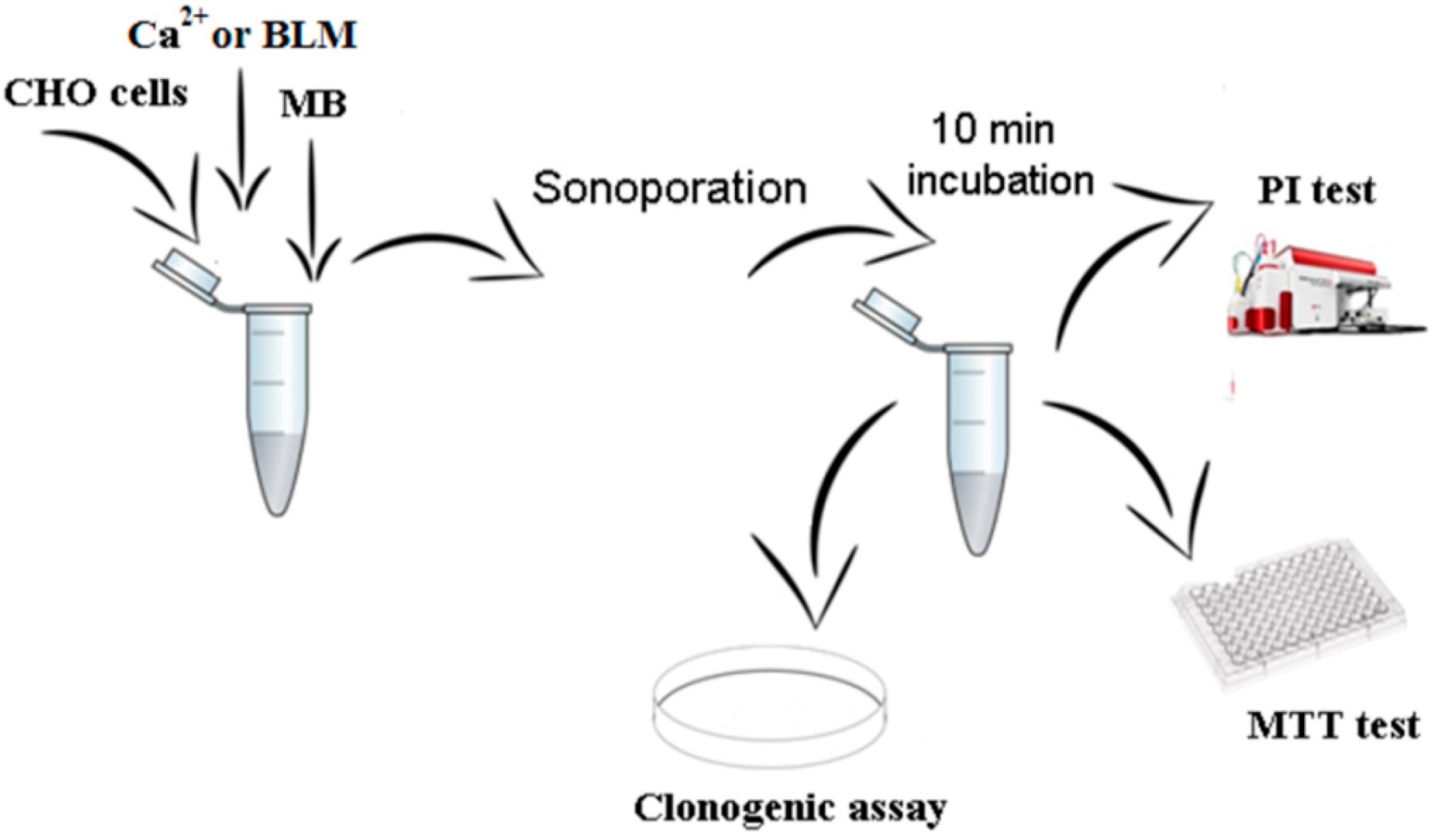 Pharmaceutics 15 01463 g002