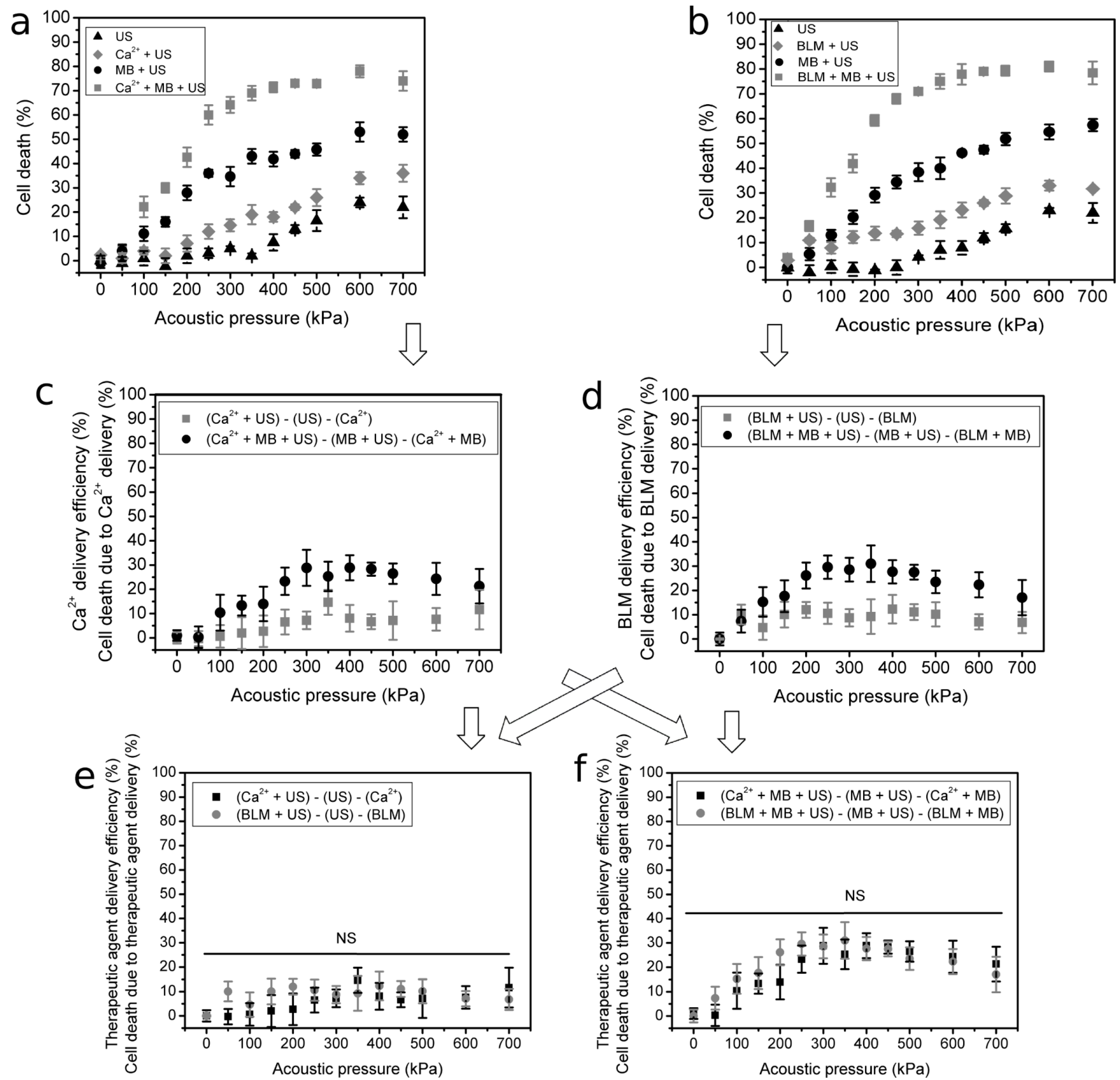 Pharmaceutics 15 01463 g006