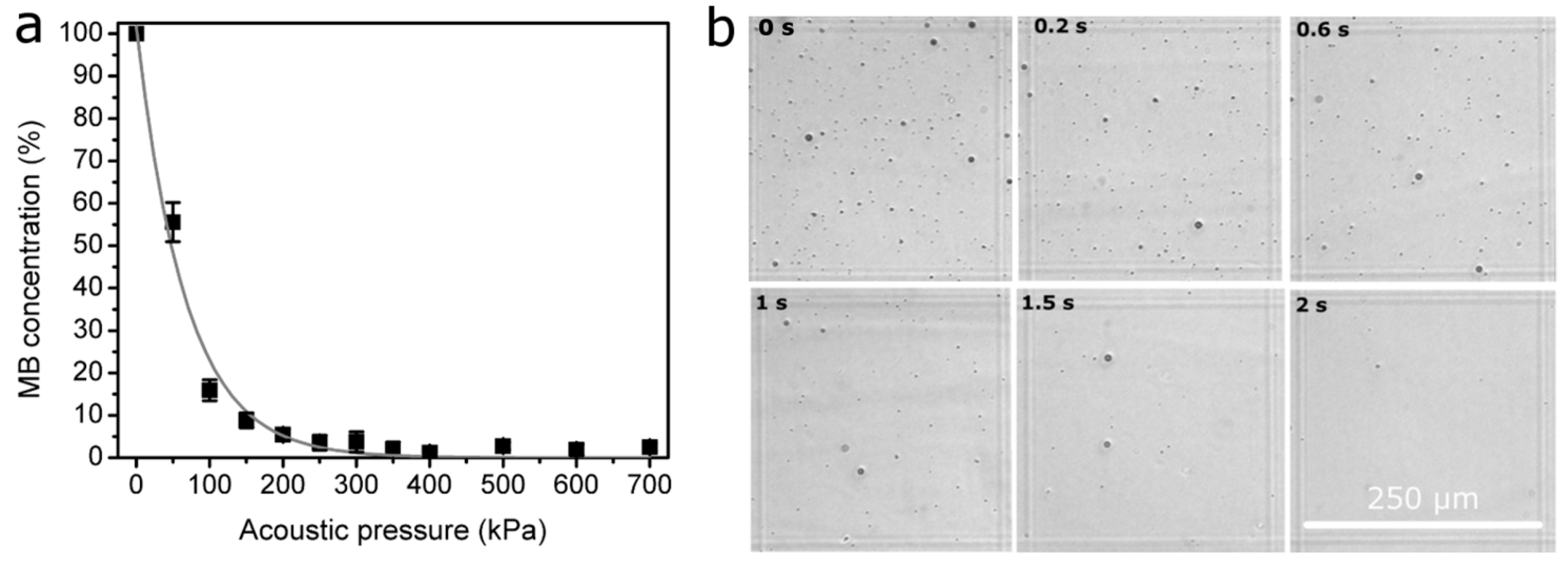 Pharmaceutics 15 01463 g008