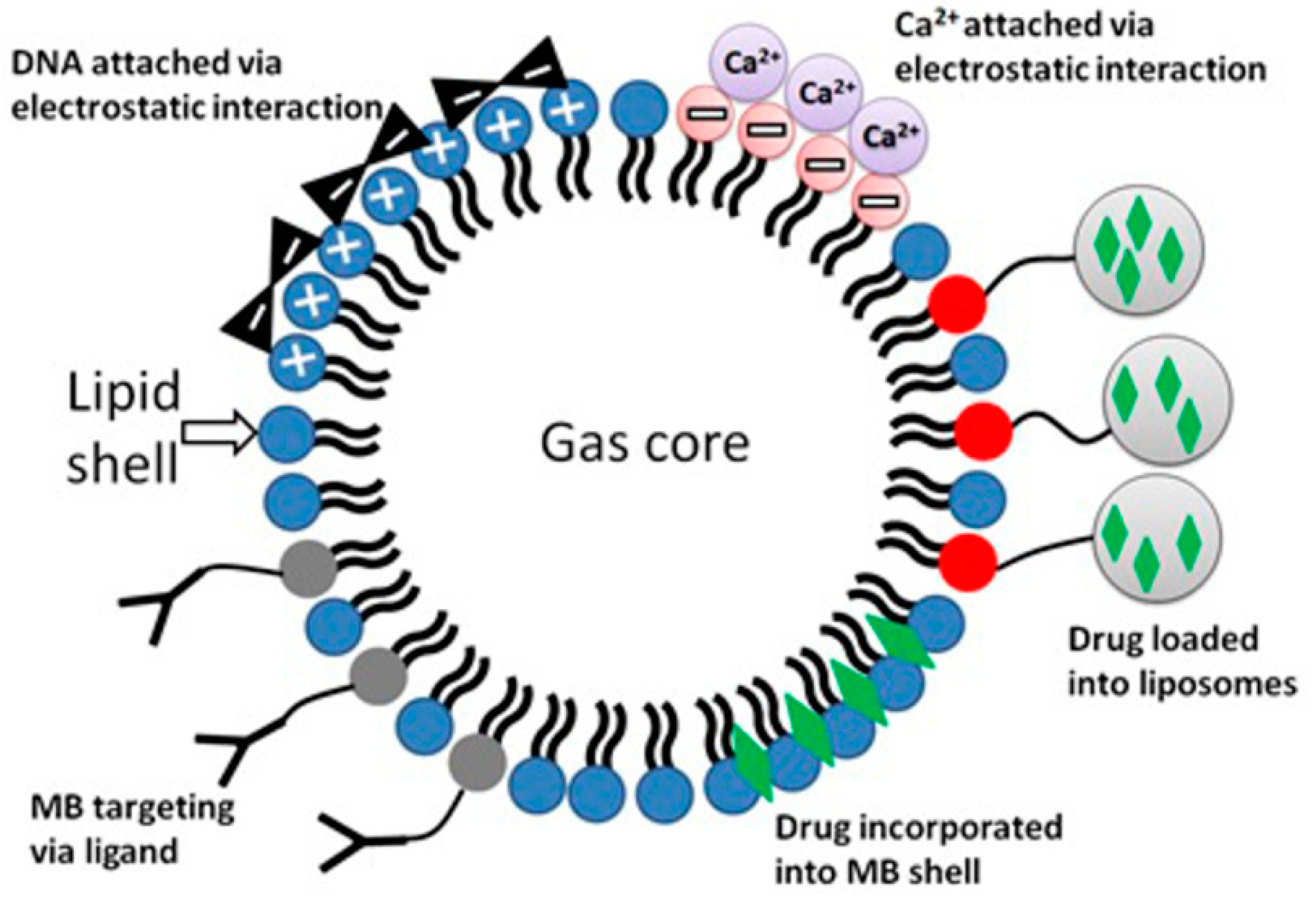 Pharmaceutics 15 01463 g012