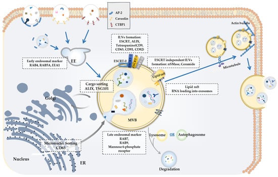 Pharmaceutics 15 01465 g001