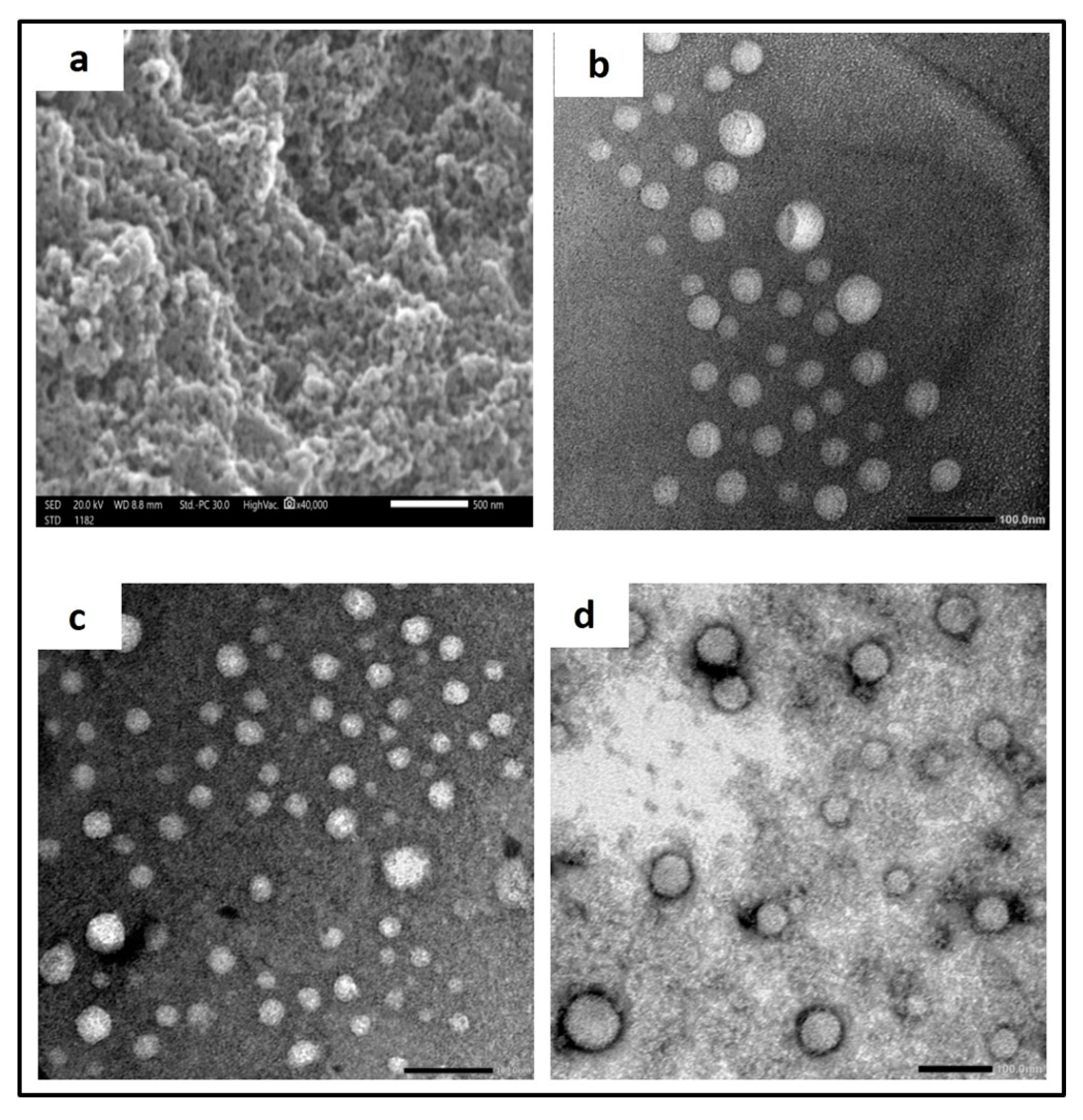 Pharmaceutics 15 01480 g003