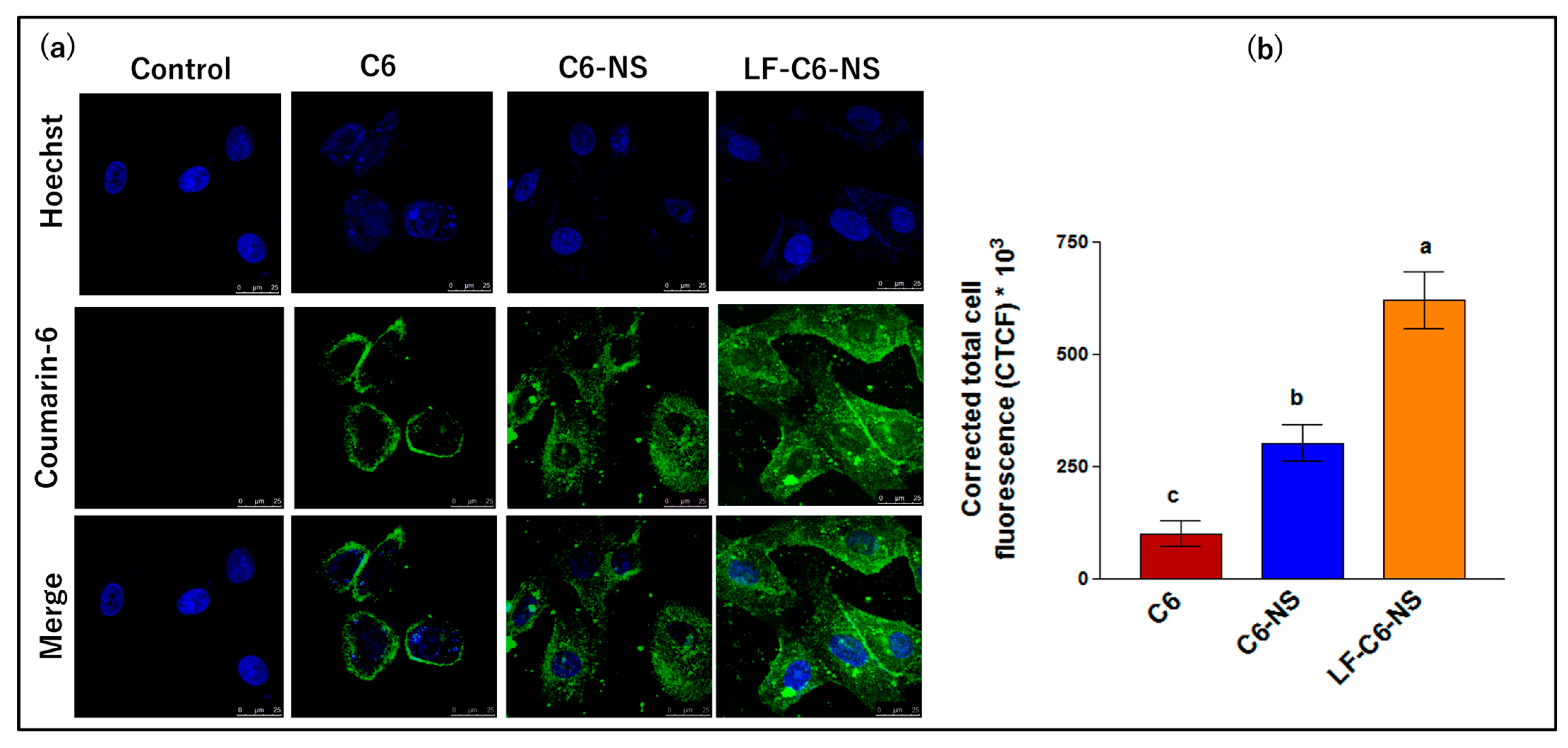 Pharmaceutics 15 01480 g007