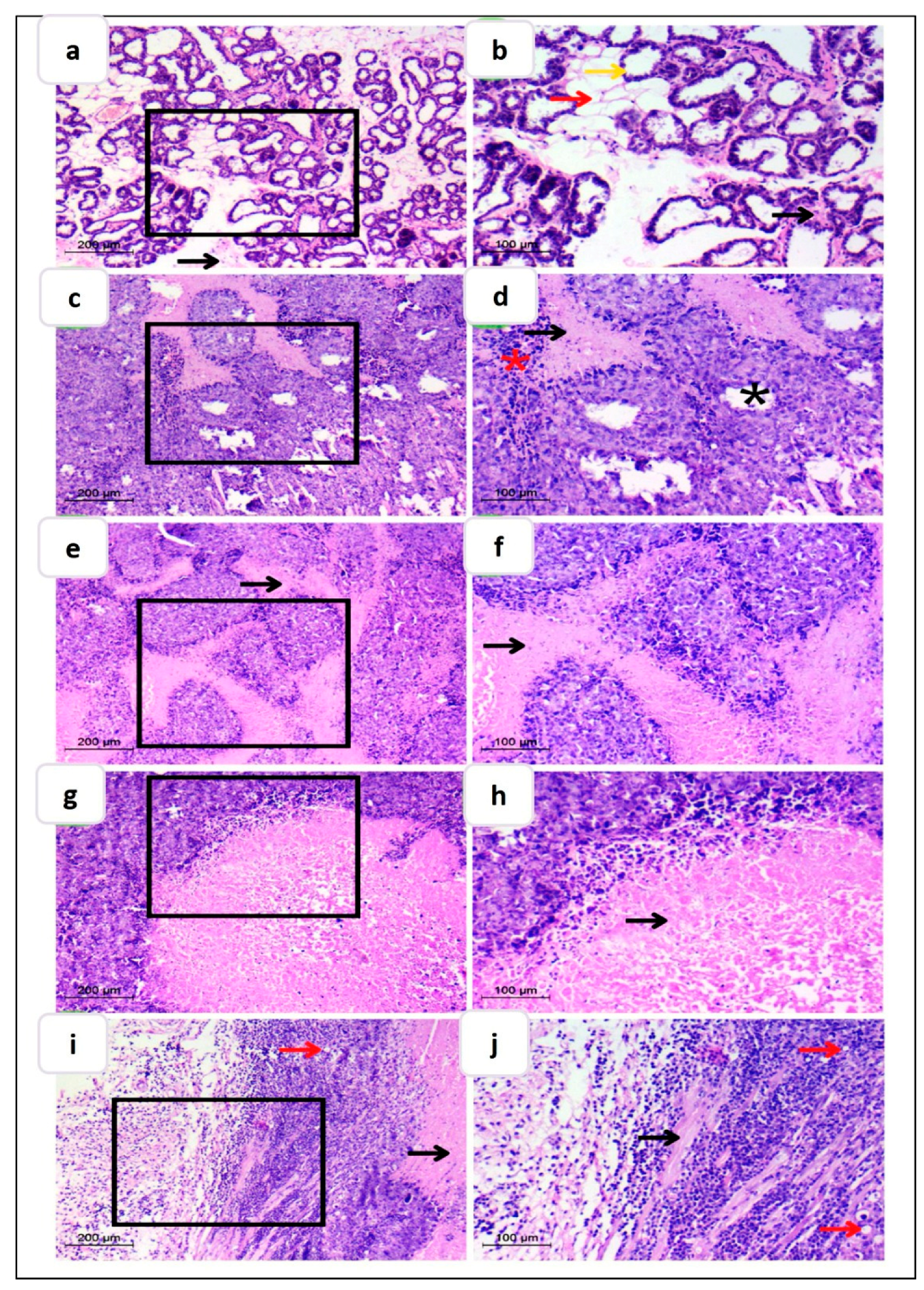 Pharmaceutics 15 01480 g010