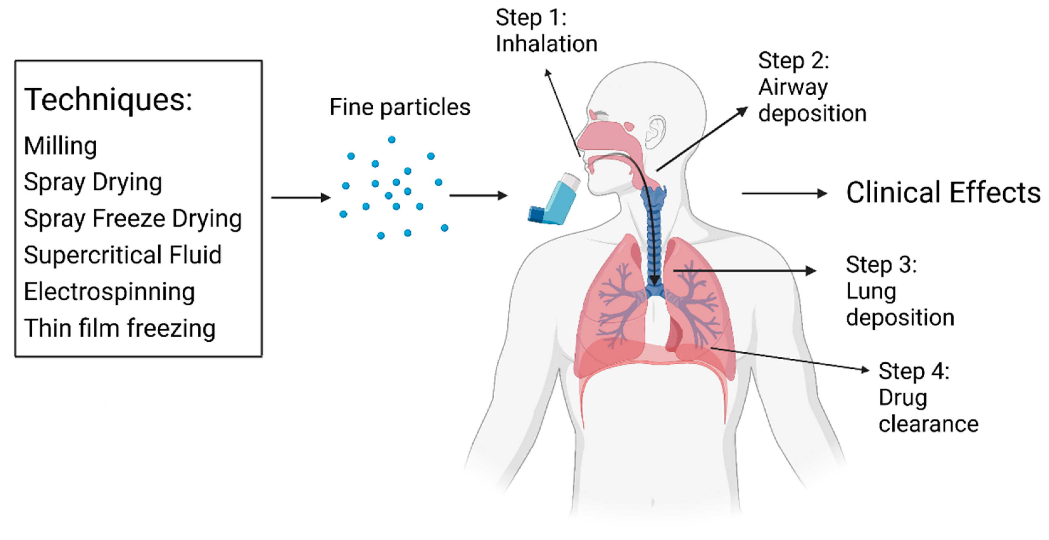 Pharmaceutics 15 01488 g002