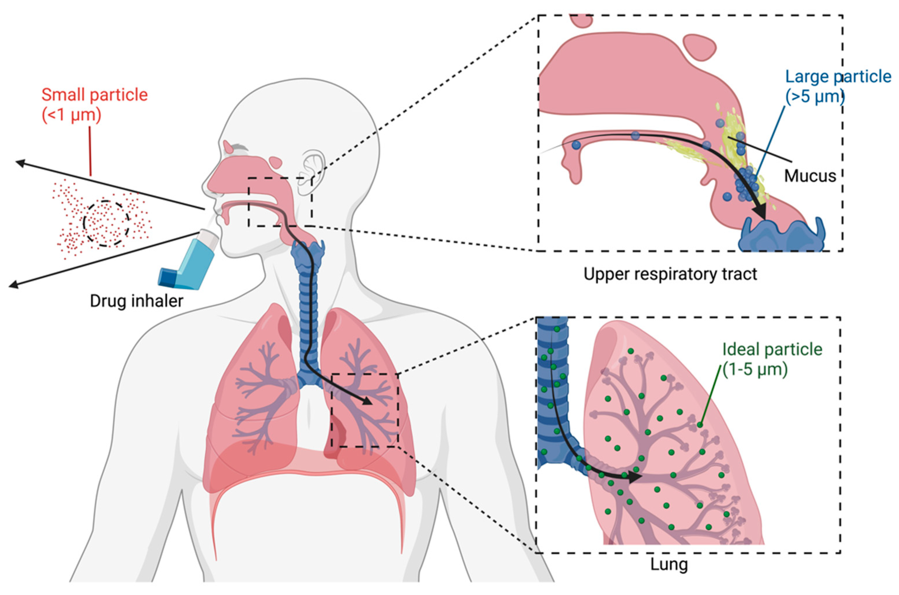 Pharmaceutics 15 01488 g003