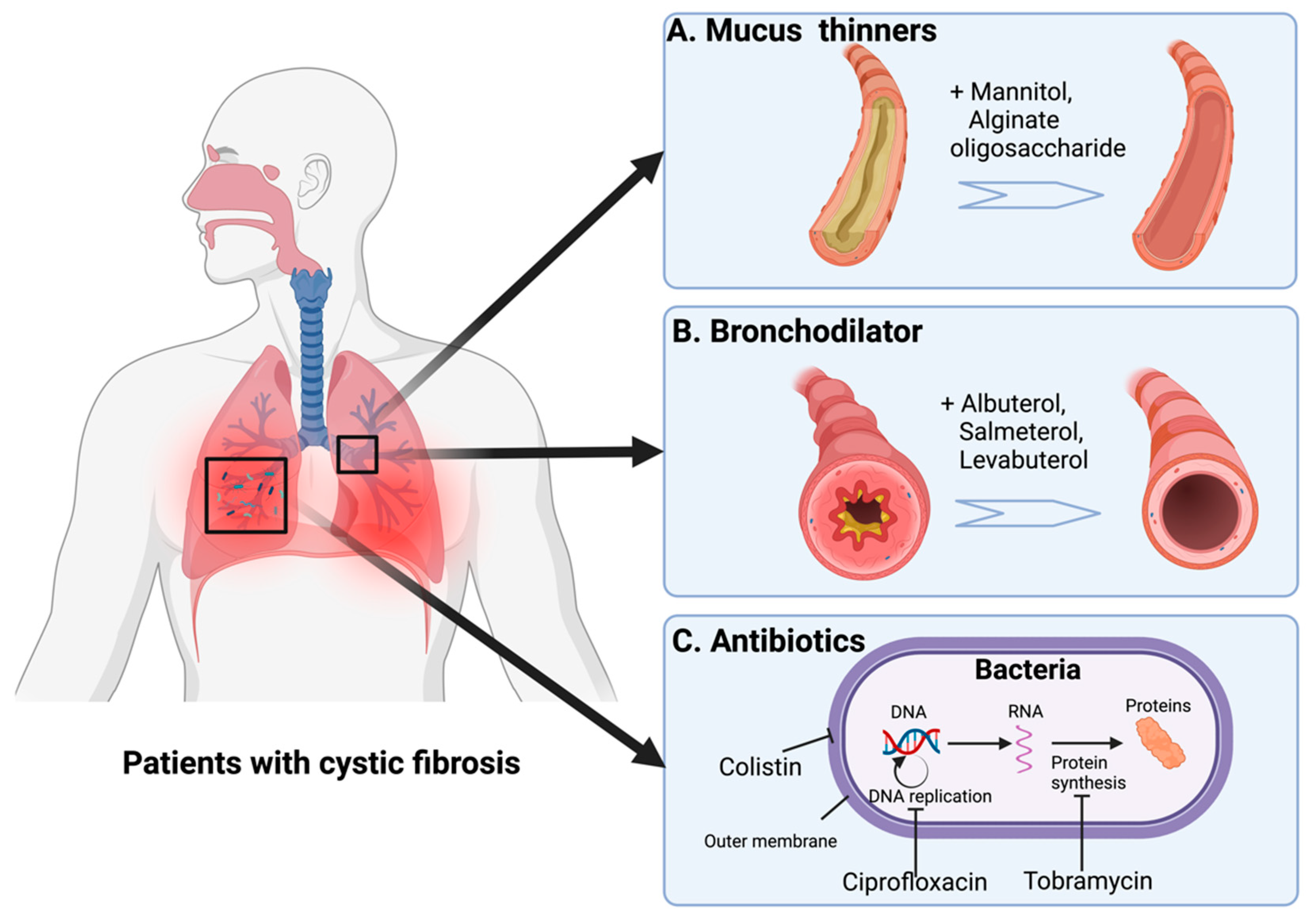 Pharmaceutics 15 01488 g004